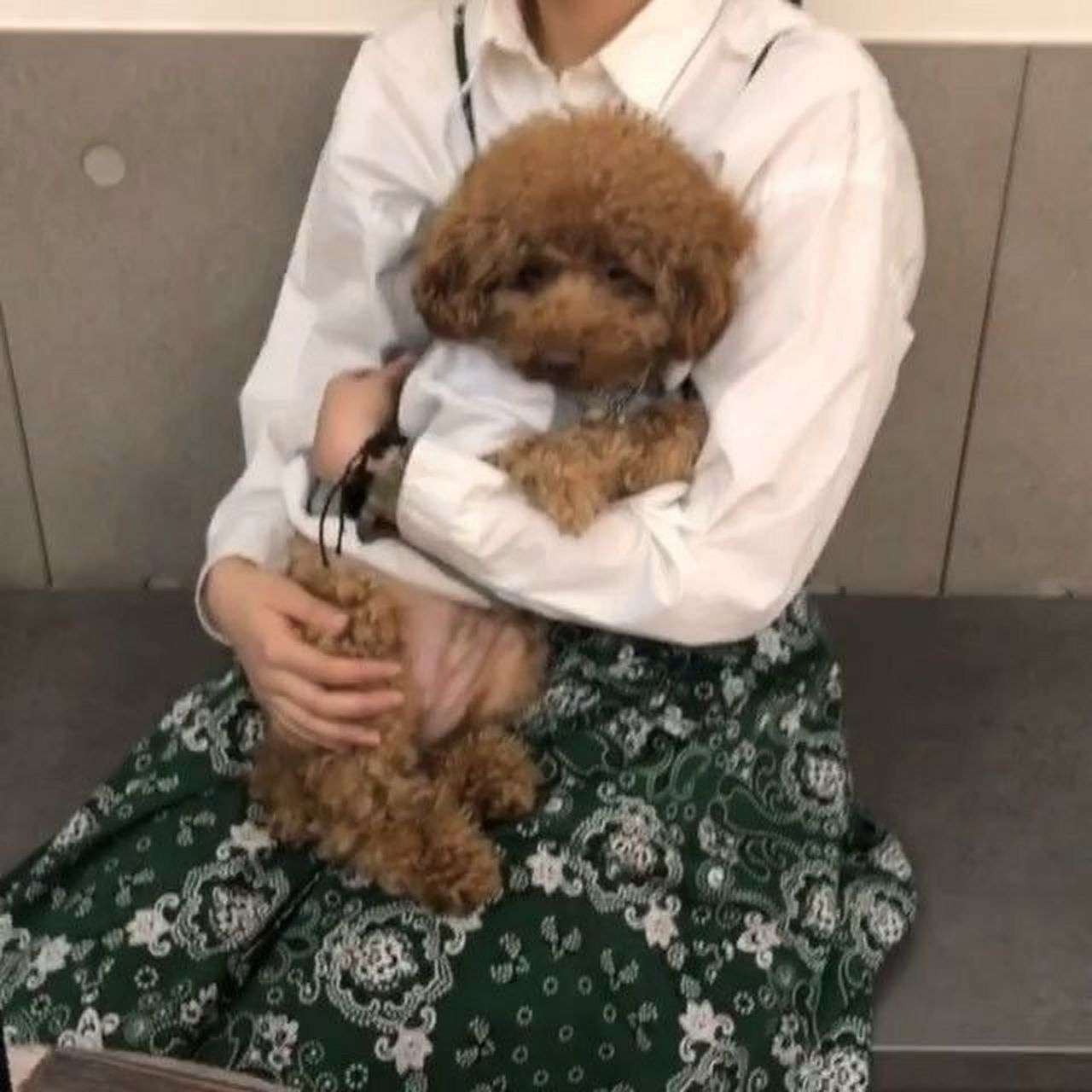 朋友的泰日天    日天日地日空气