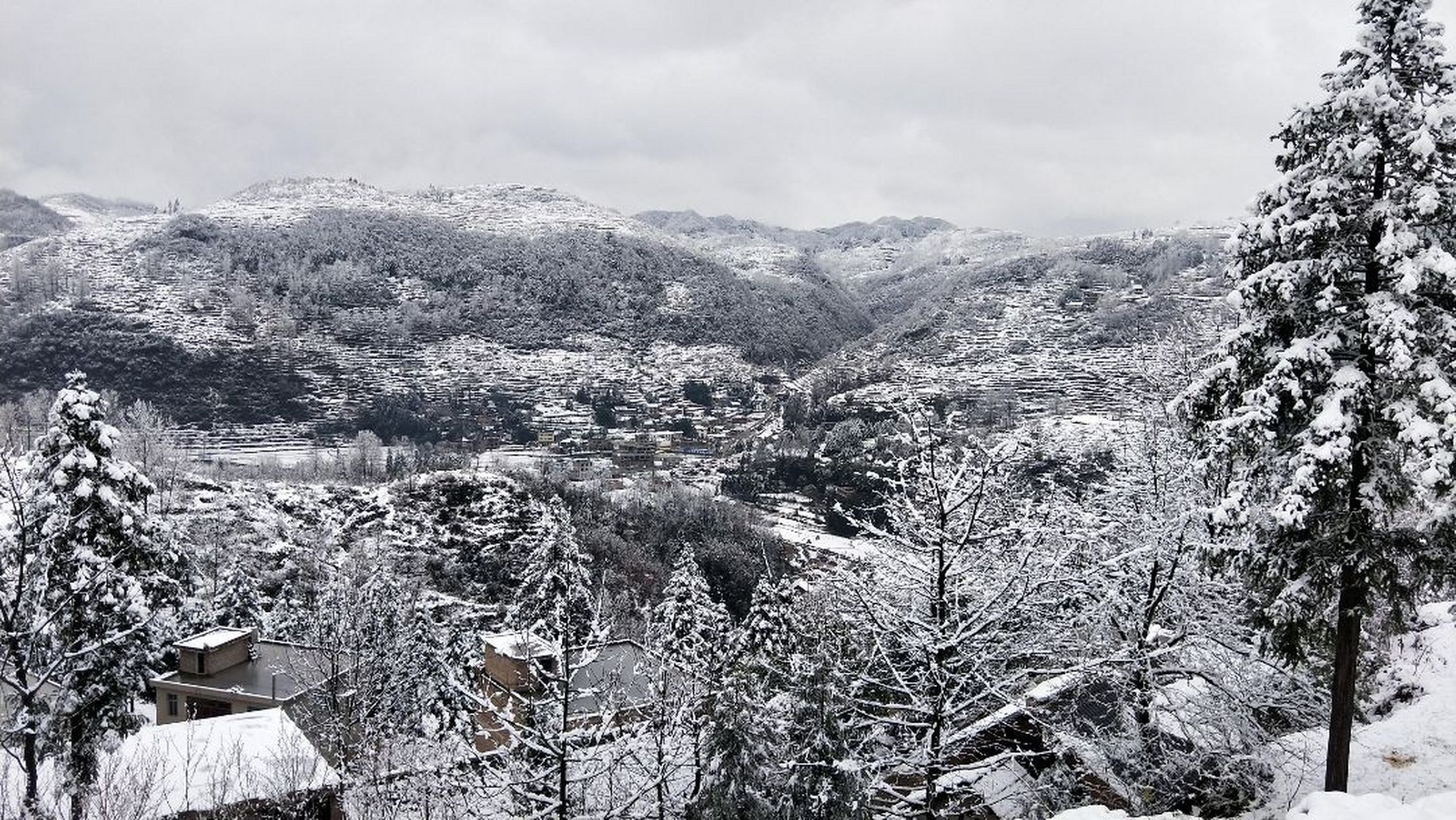 戴德金刚上师对密宗和净土怎么看?