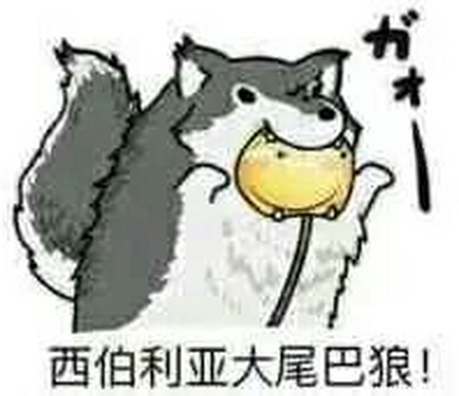 m冠傊