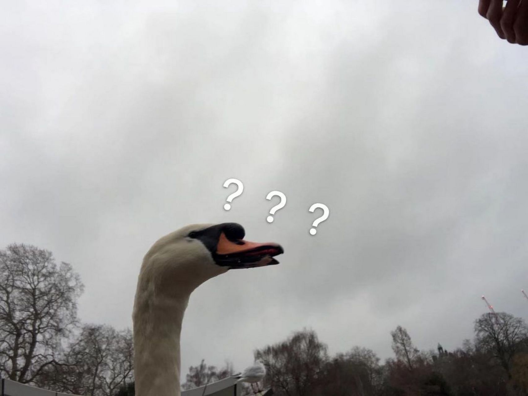 [没眼看][没眼看]有看过斗鱼不可一世的杀手直播的吗?