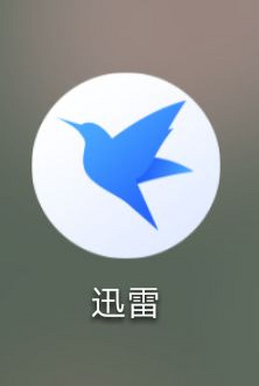 手机上可以代替迅雷的软件_手机上代替迅雷的下载工具有什么