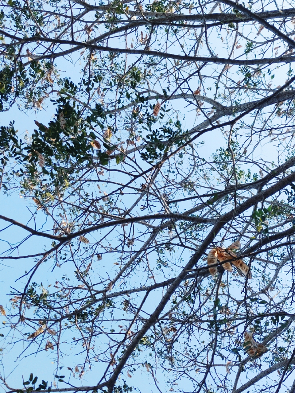 各位兄弟,谁有潮汕话版的西游记后传发给我一下,谢谢.