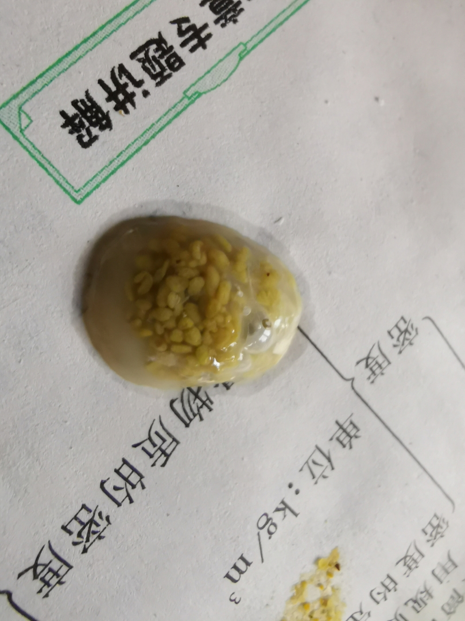 玄凤鹦鹉这种屎怎么办啊,是有虫么,哭了,有没有大神回答一下,感谢