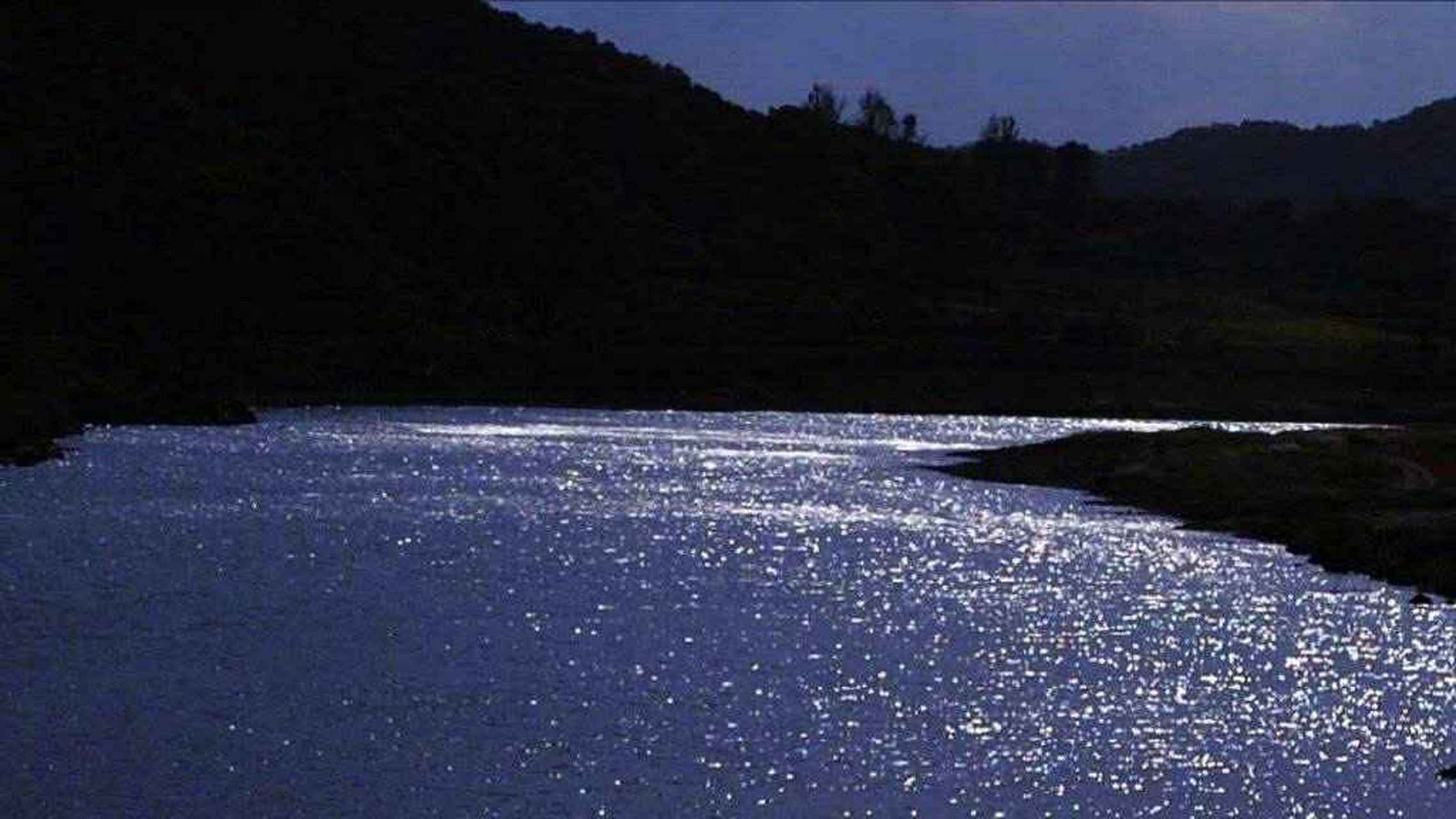 已是深夜,辗转反侧无法入眠,那抹熟悉的身影一直在心中游走,一幕幕应