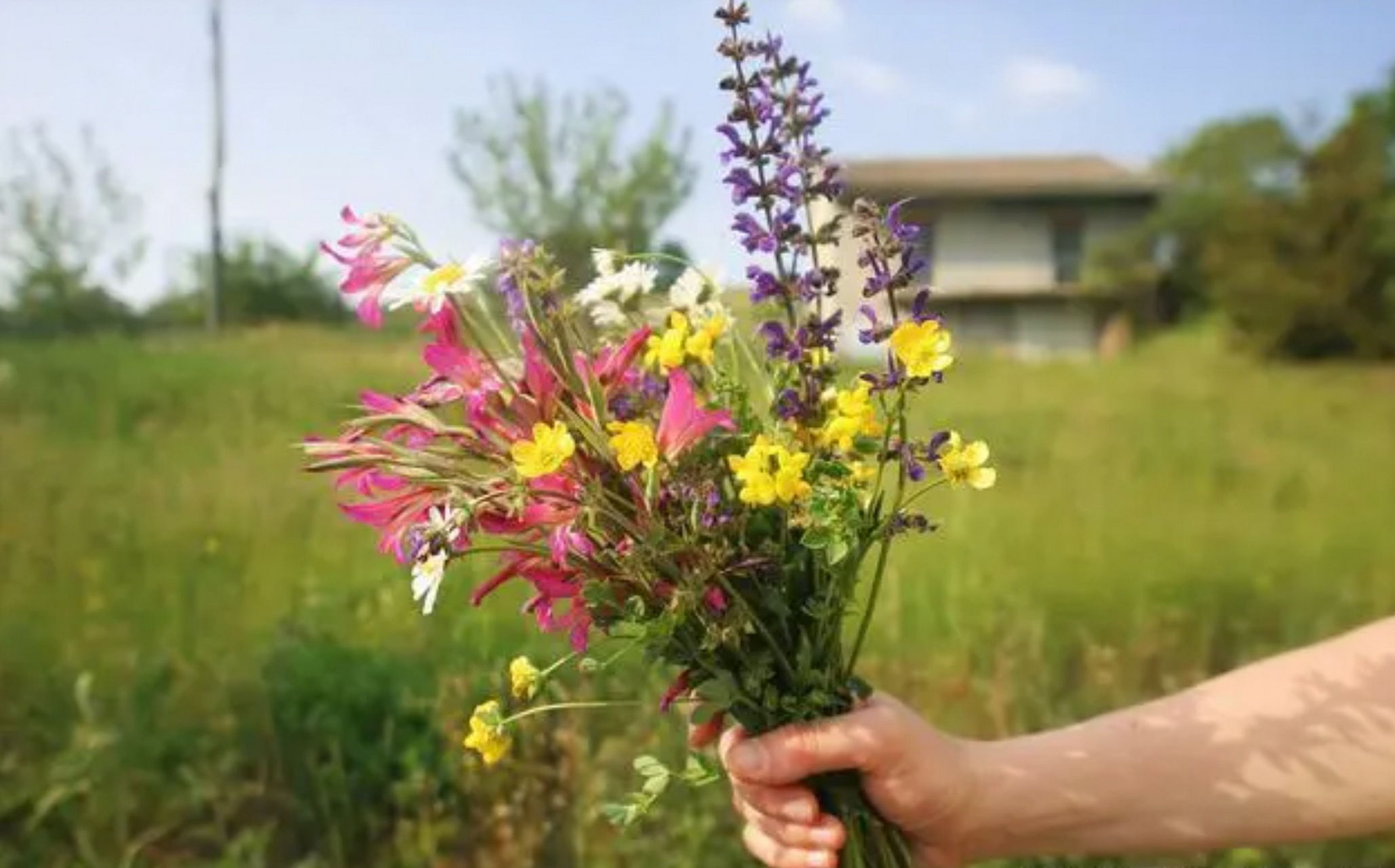 丈夫割草归来采一大把野花送妻子