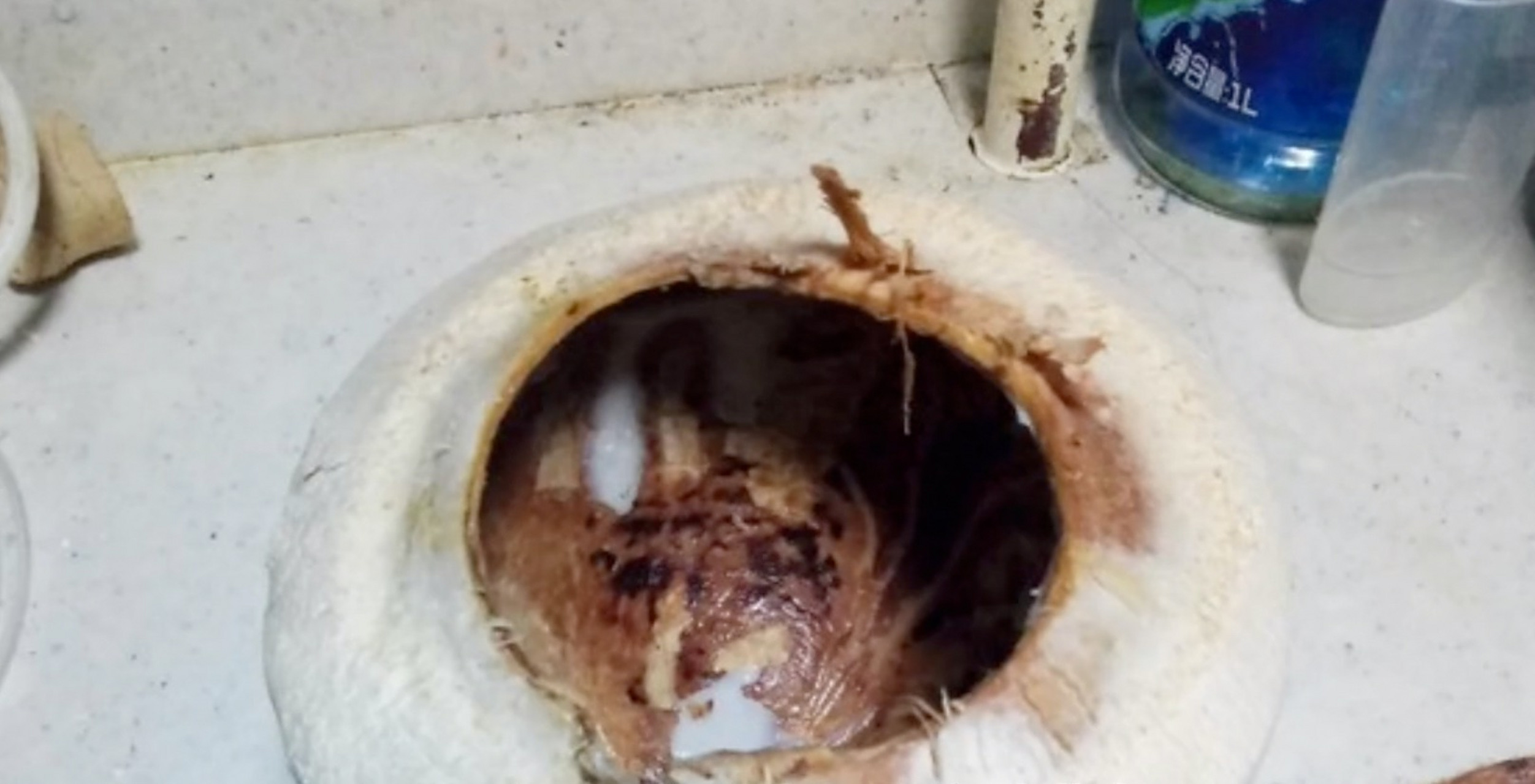 大润发当天上架的椰子变质发黑