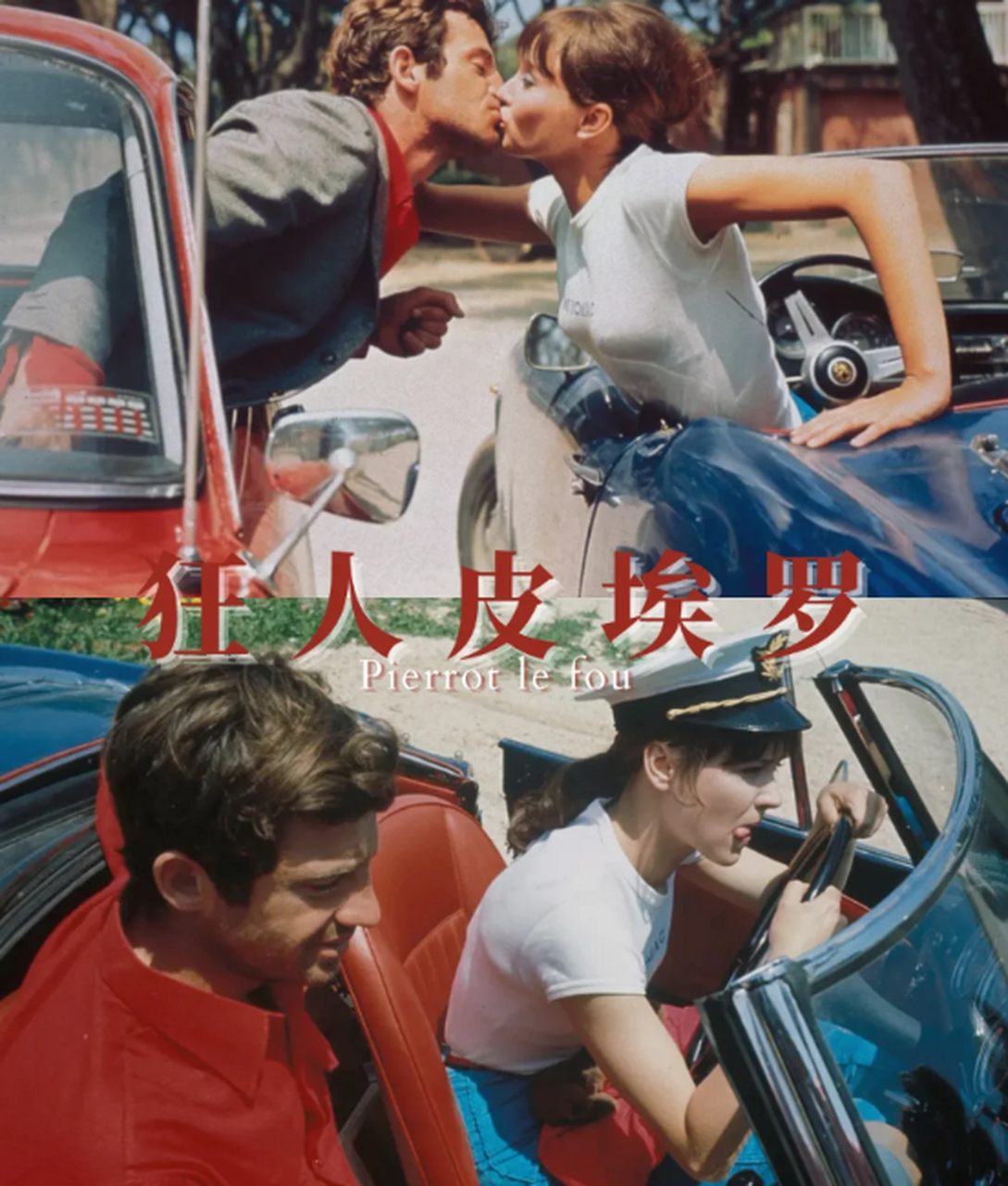 热剧潮好看#他死于诗,她死于他 《 #狂人皮埃罗 》      砰——的