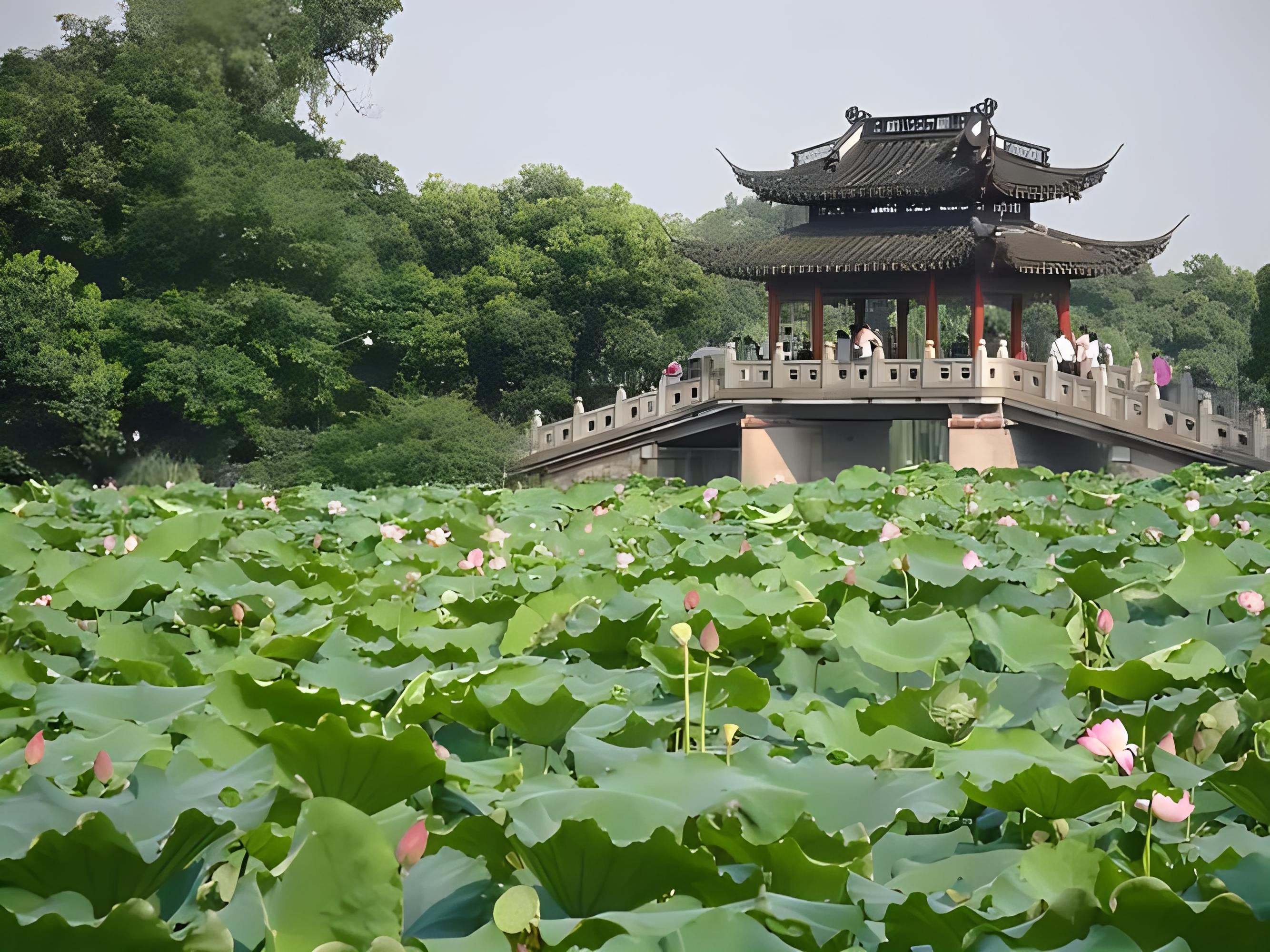 夏天的亭子图片