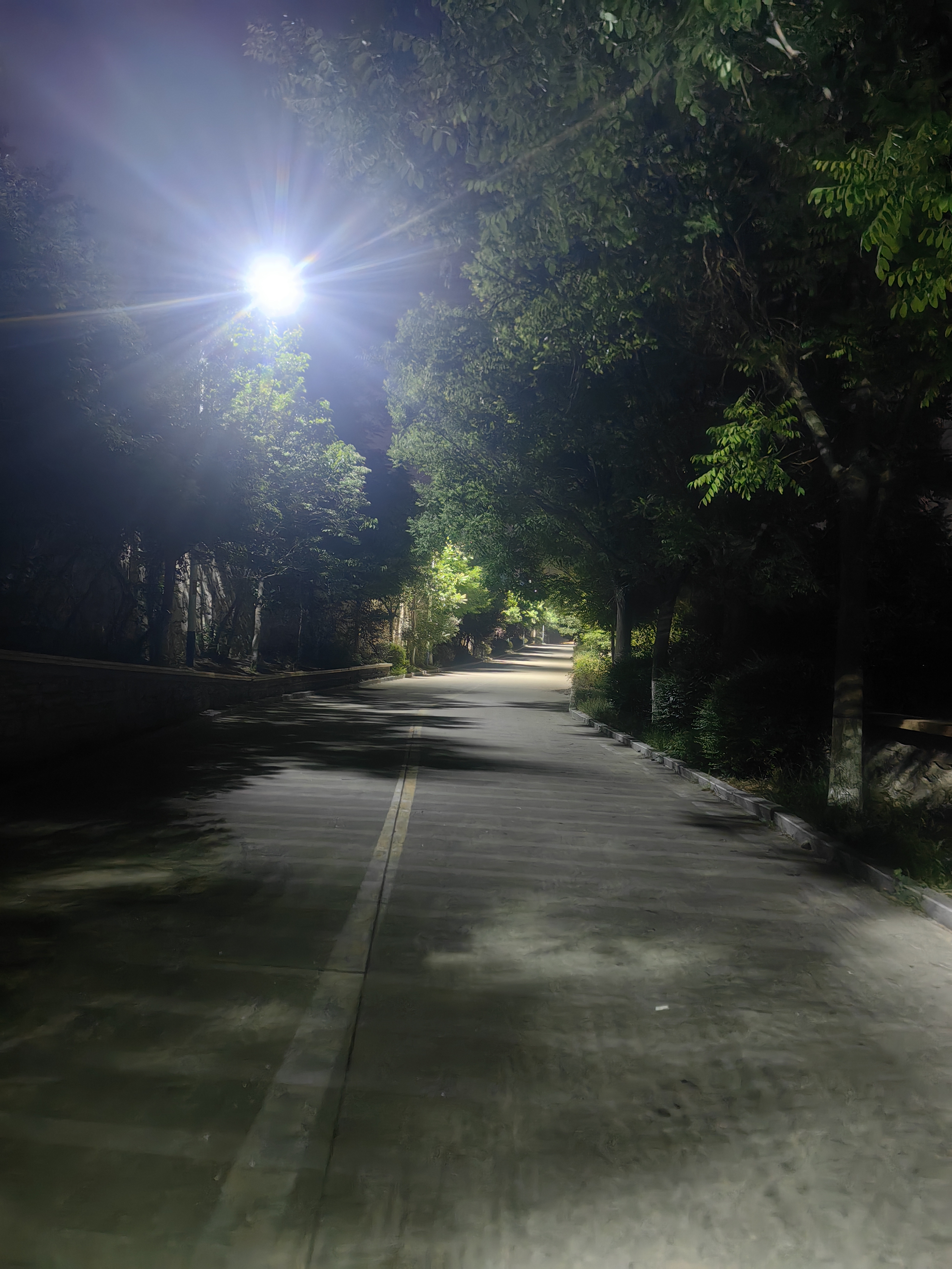 难得初夏凉爽的夜晚,缓步向前,世界相伴. 风景依然,为了美好明天