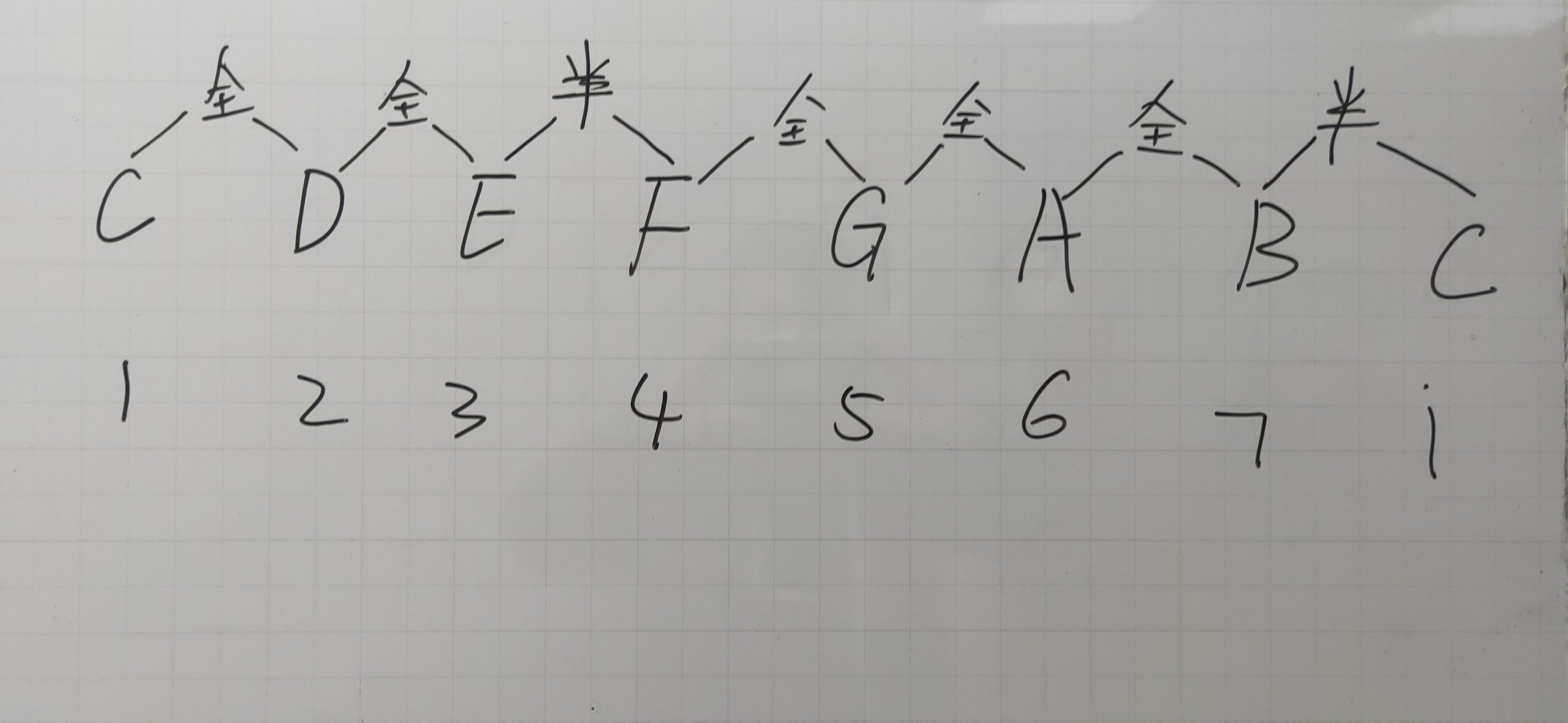 全音半音关系图片图片