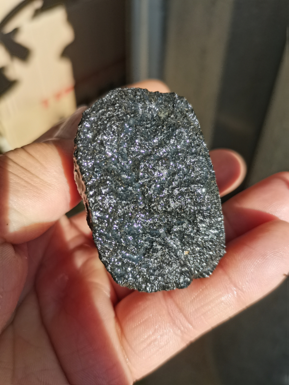 新疆阿勒泰地区戈壁滩上捡到一块橄榄石陨石.外壳能看到镊元素熔化点