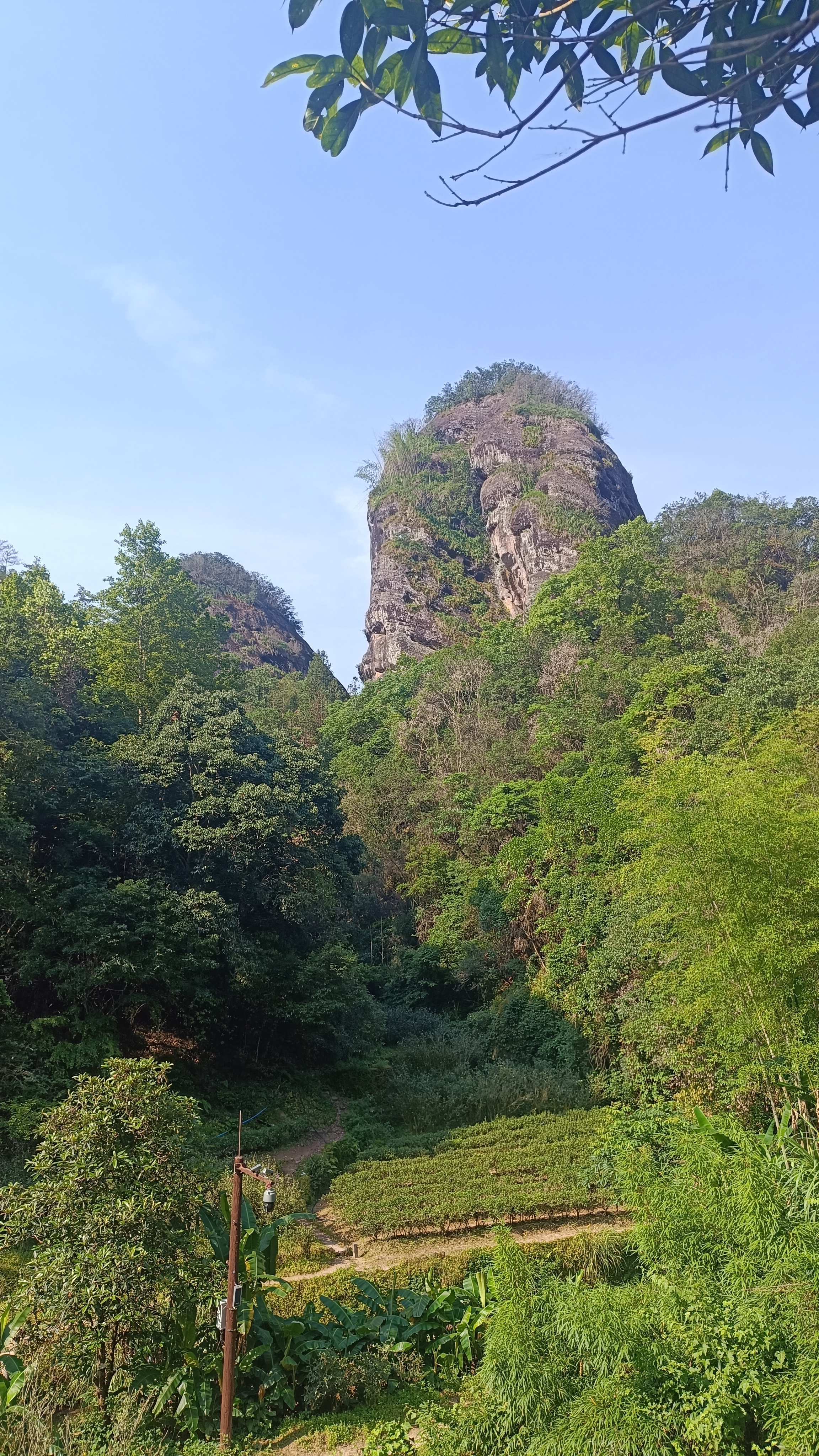 长白山池西玉柱峰图片