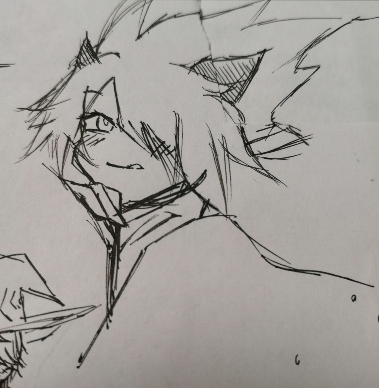 一张废纸,一只快没水的笔,三分钟,一只小奶卡(临摹,真草率)