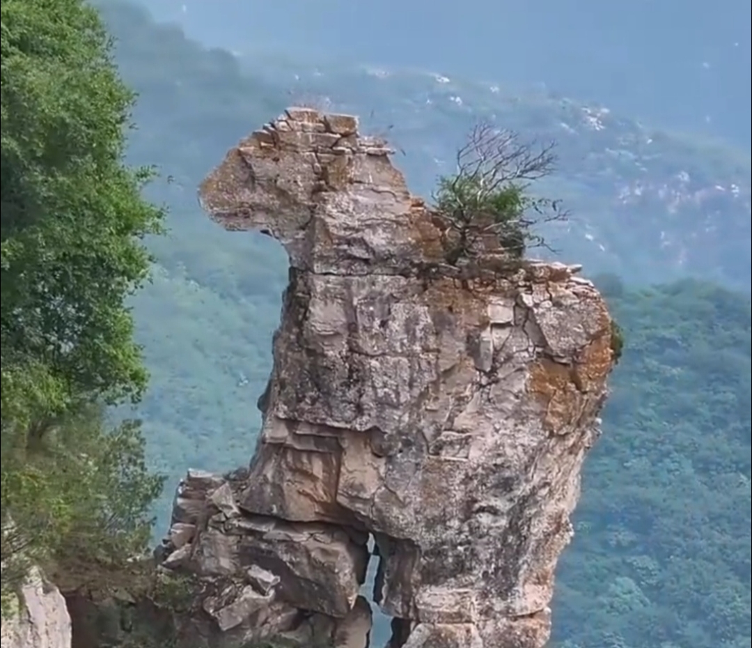 在山西运城稷山县的千米高山上,竟有如此神奇的天然奇石