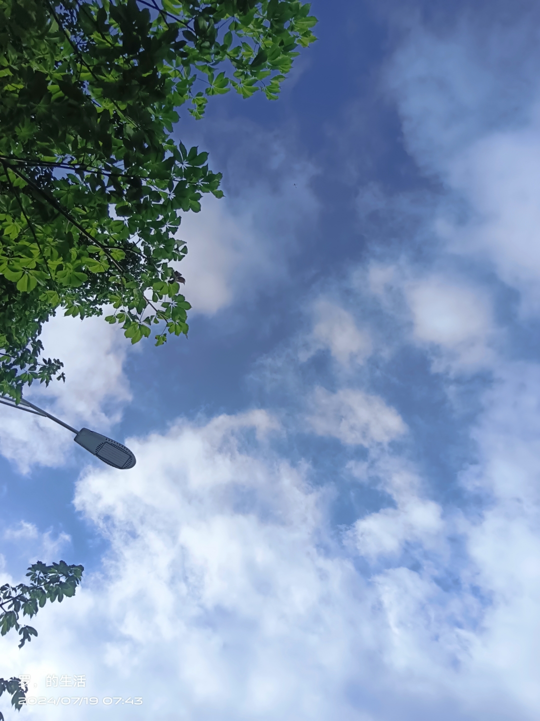 随手拍的天空,今天早上的天空 我的早饭呢?只有这个了