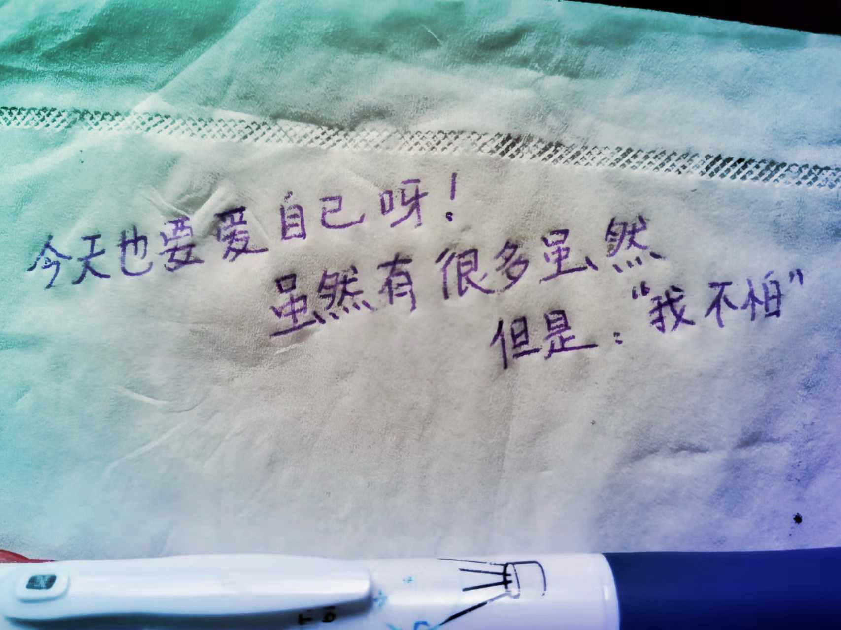 "任凭风吹雨打,我自岿然不动 "