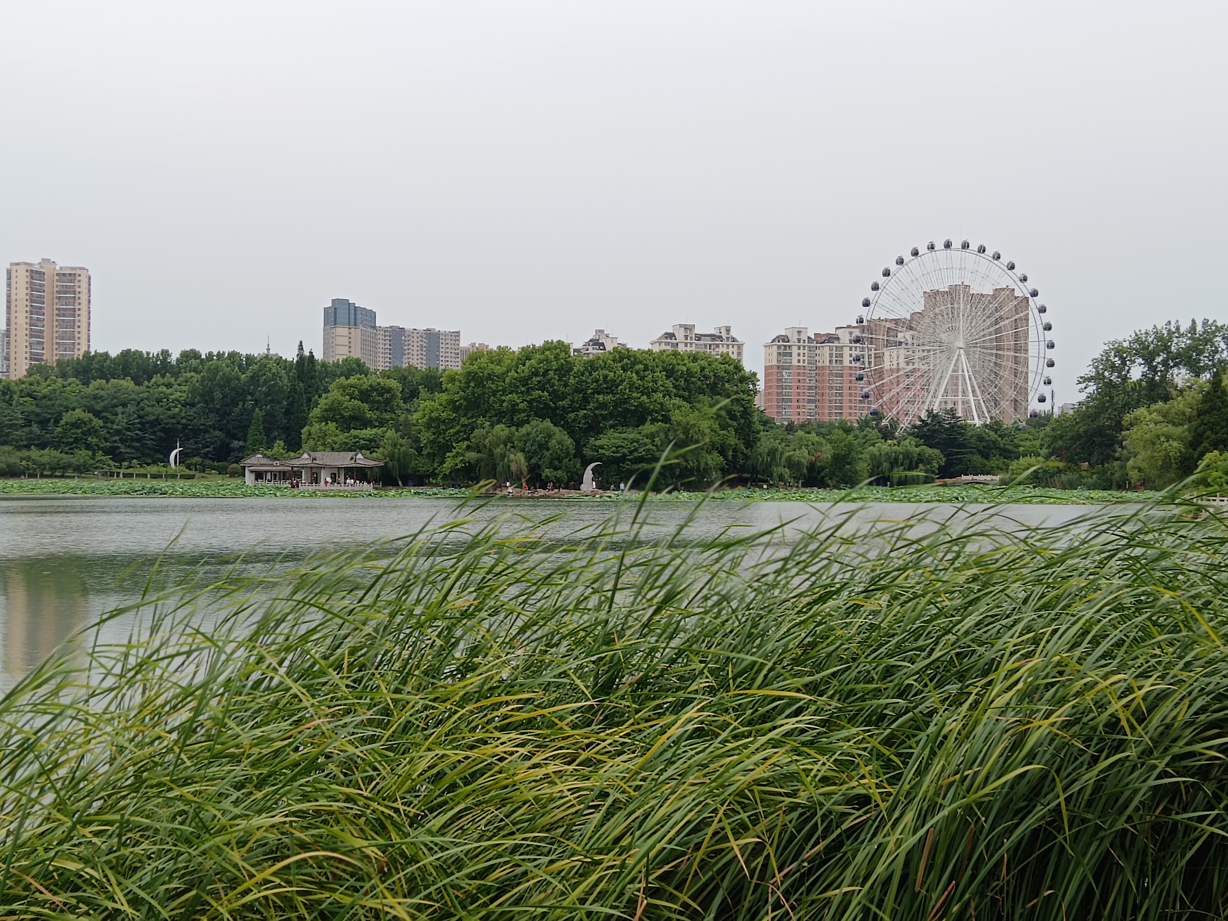 临沂龙湖公园图片