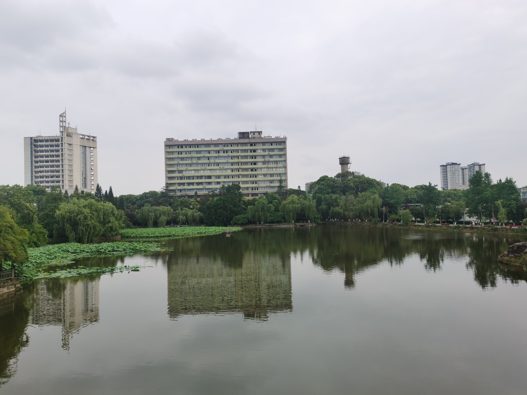 第一次宣讲 昨晚去西南石油大学南充校区参加线上培训,地点在