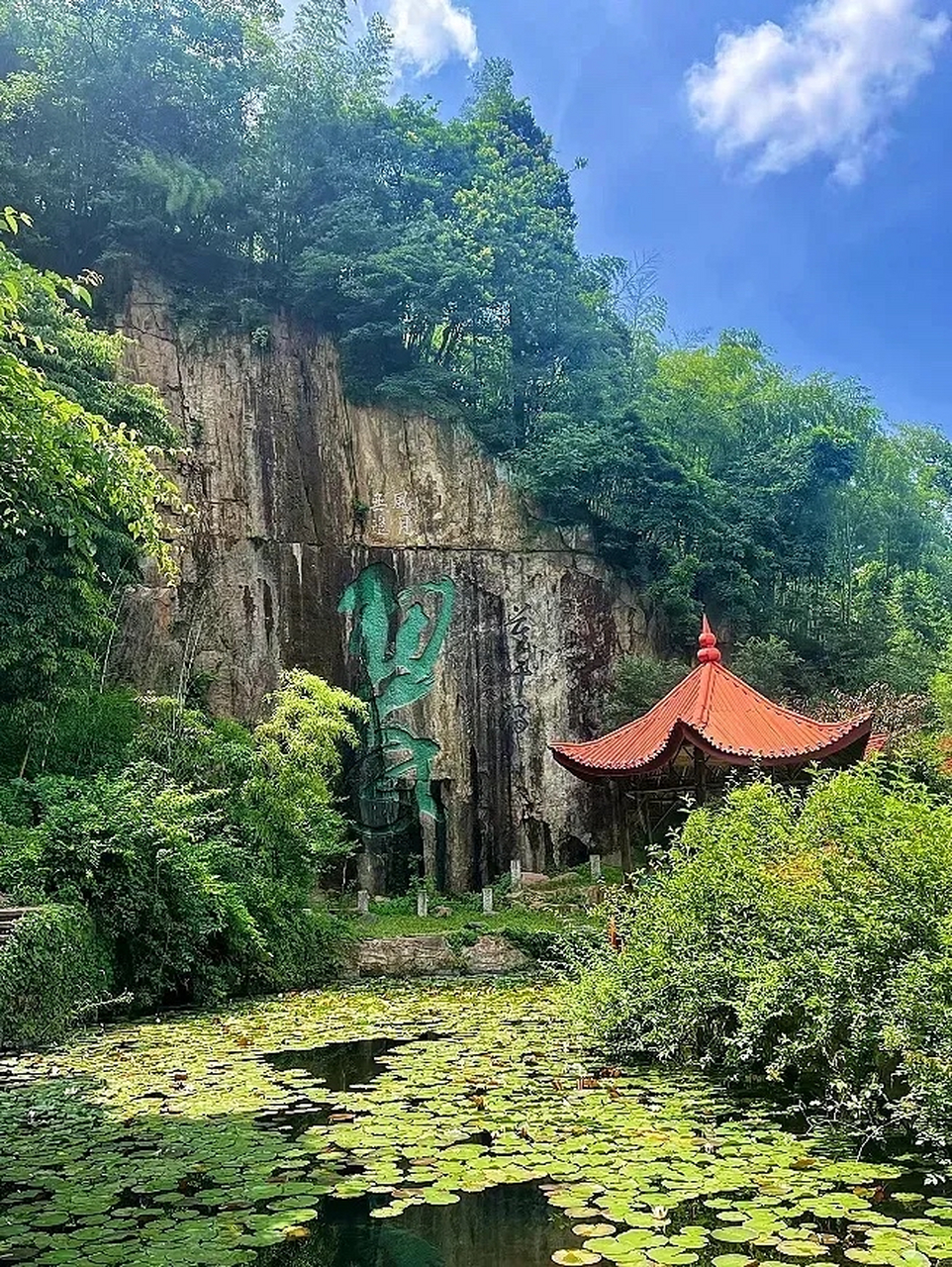 周末去哪儿玩#  "莫干山里好清凉",浙江湖州德清莫干山夏季只有25