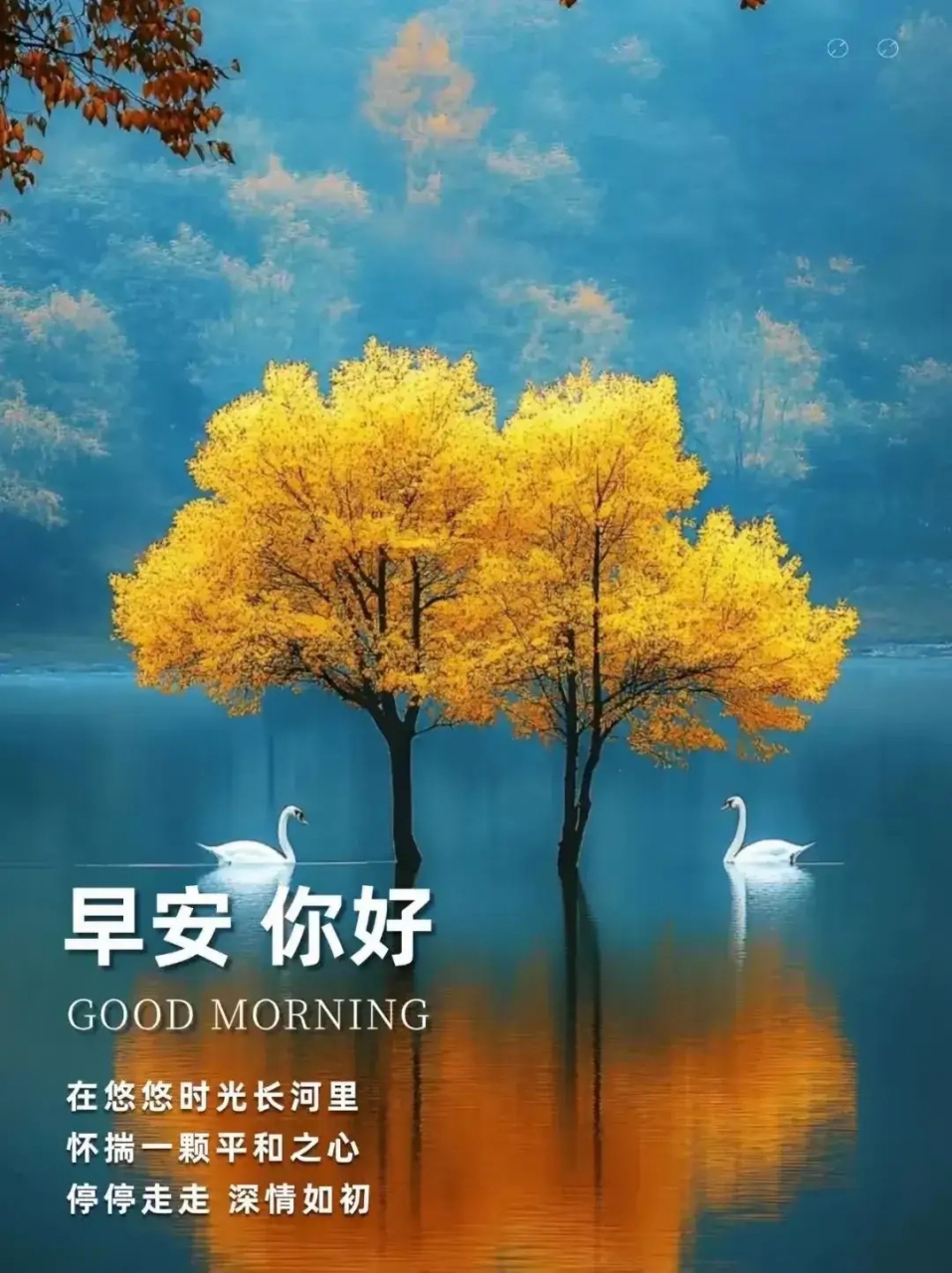 [太阳]早安·心语[太阳]  时光轻舞,流年如诗,撷一缕晨曦,点燃心间