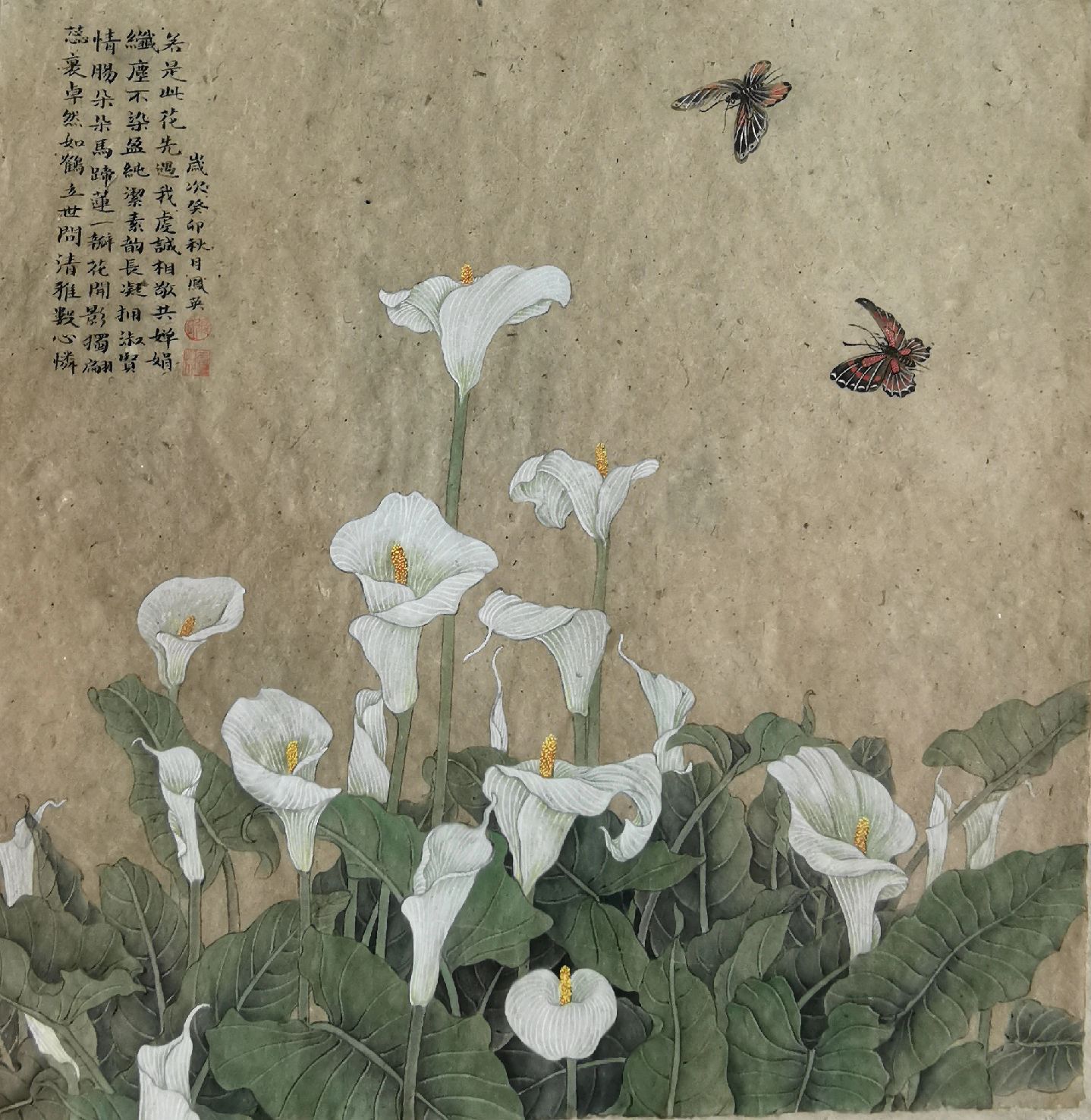 张凤英麻纸工笔马蹄莲.#原创# #国画# #手绘