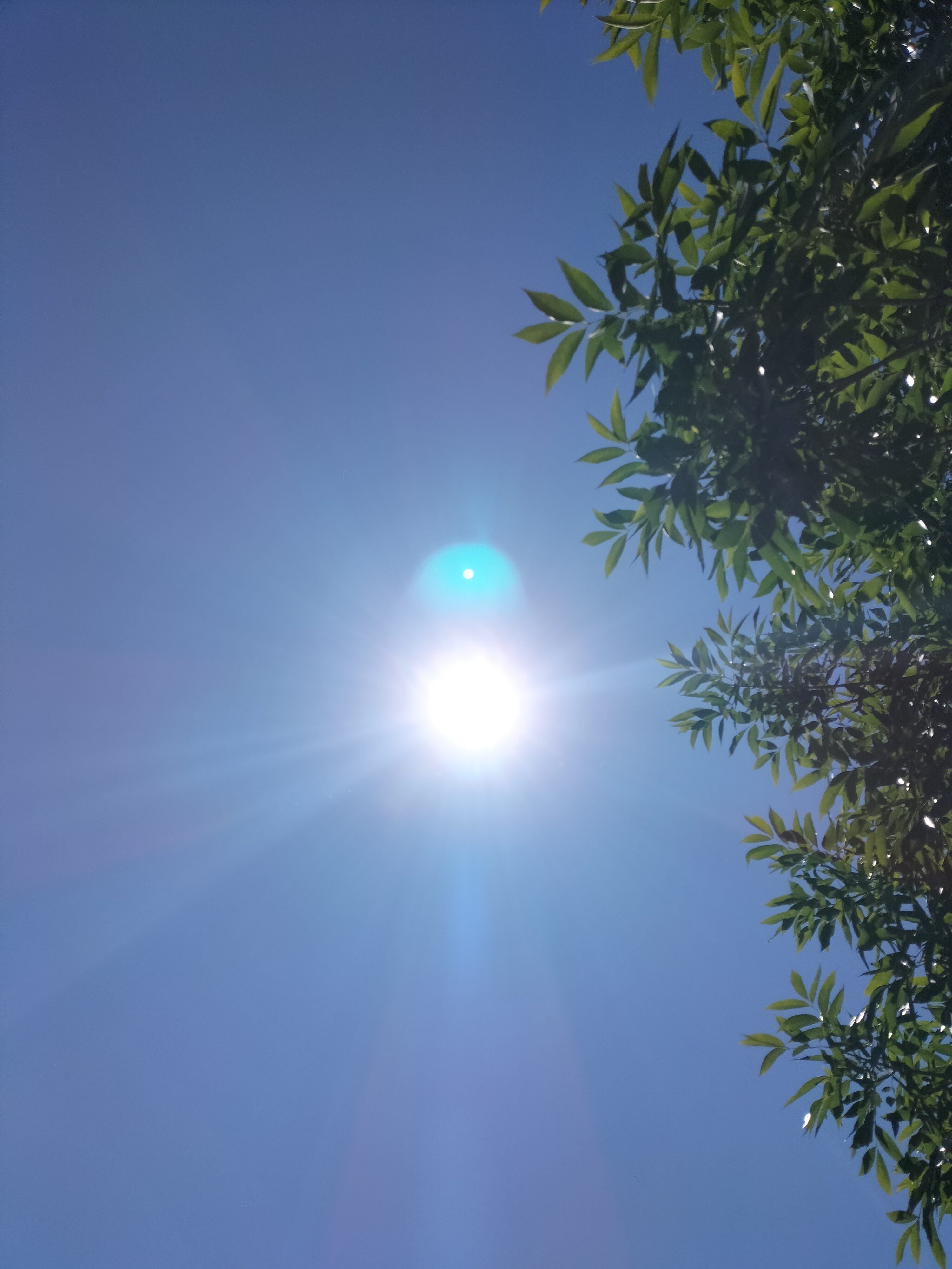 阳光明媚,晴空万里,美好的一天[太阳][太阳][太阳]