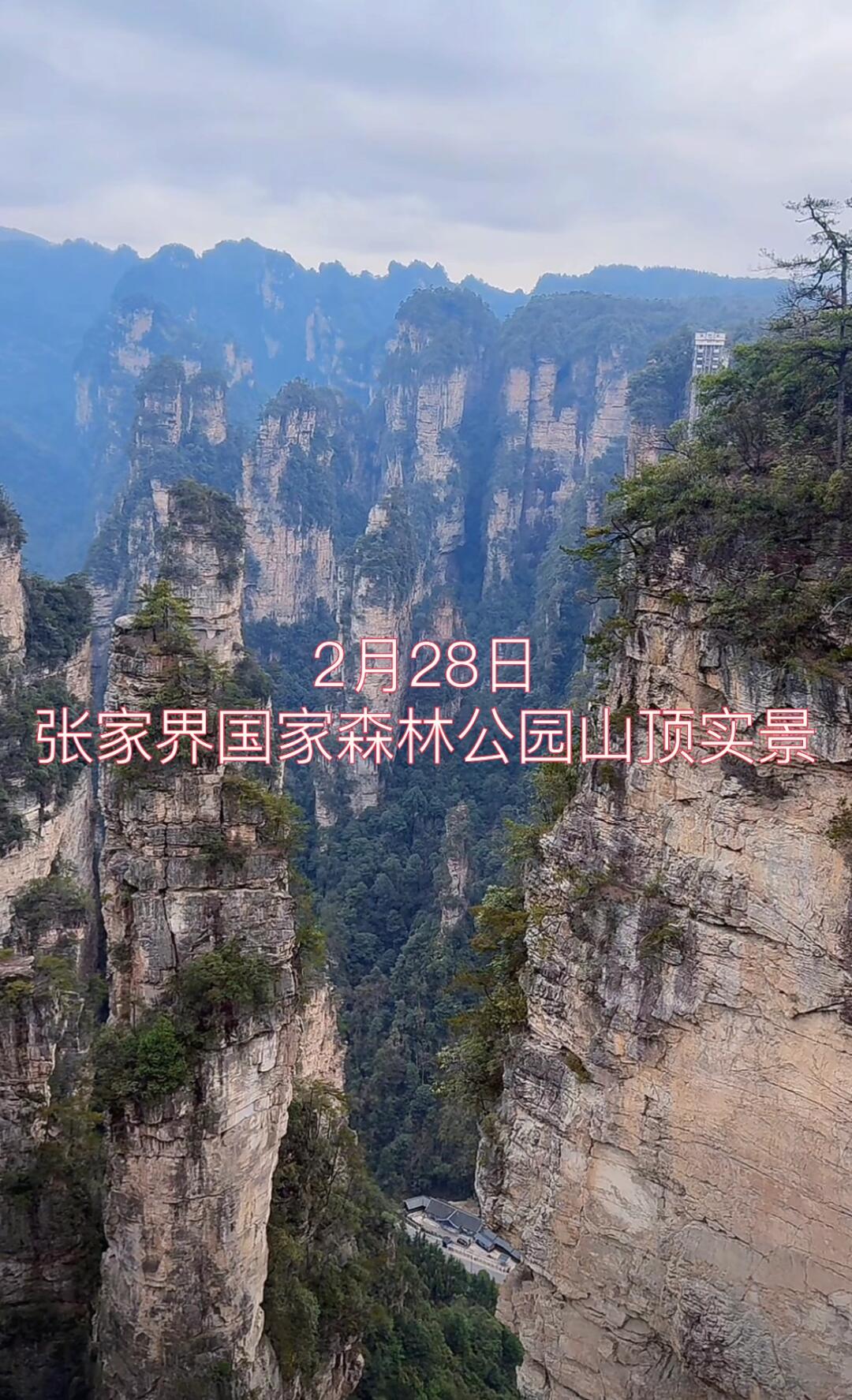 张家界国家森林公园天气预报马上知 张家界国家森林公园天气预报马上知