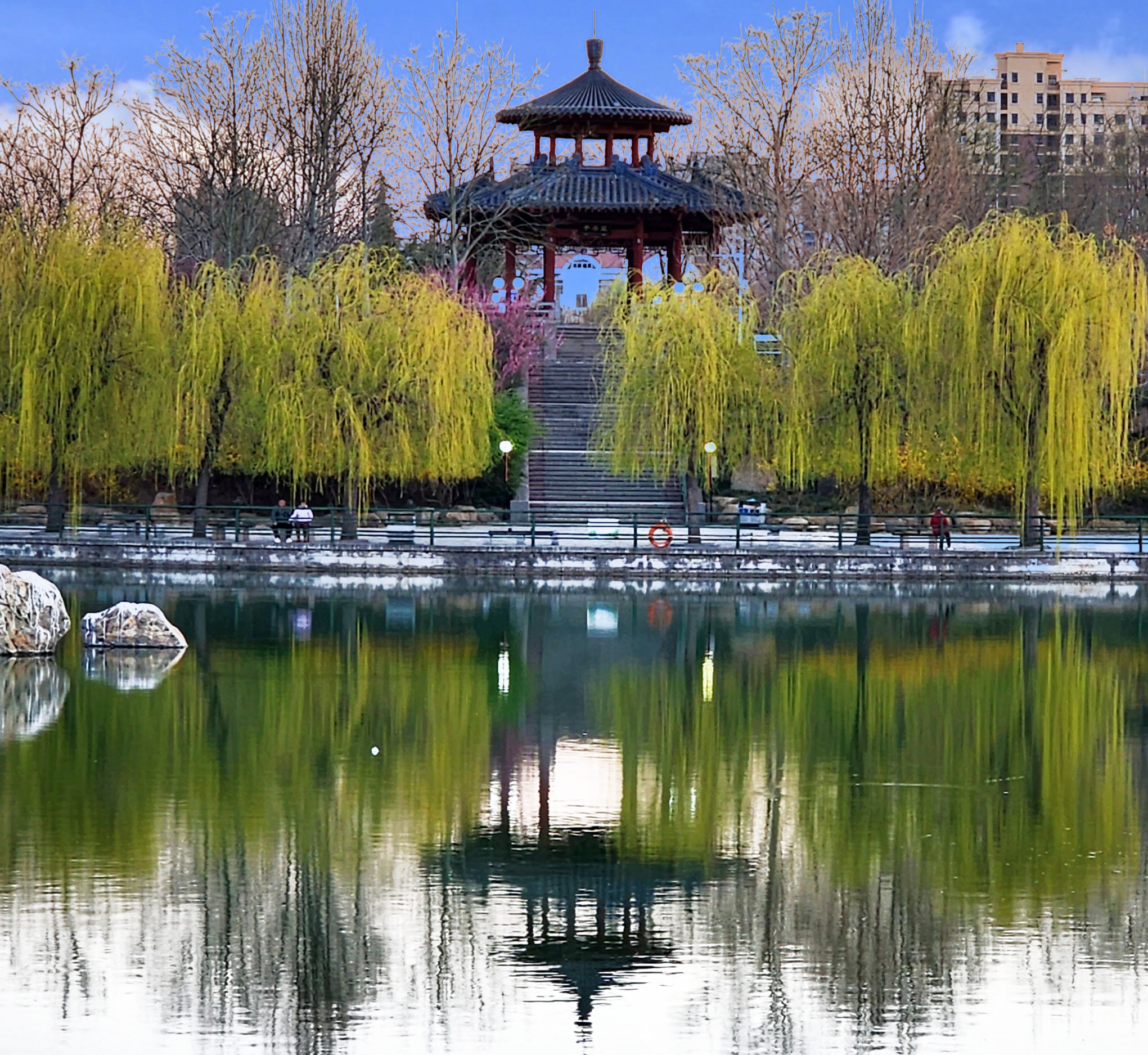 泰安‖南湖公园景美如画