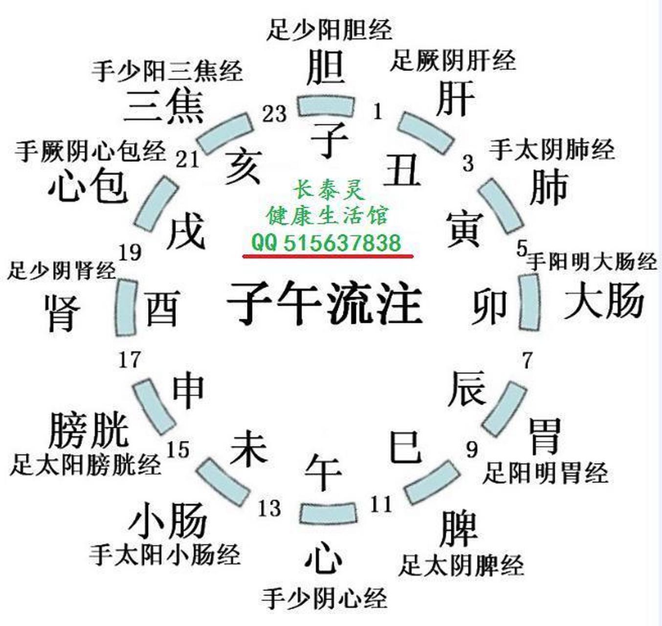 养生小知识 中医"子午流注icon"12时辰养生法,希望大家好好研究一下