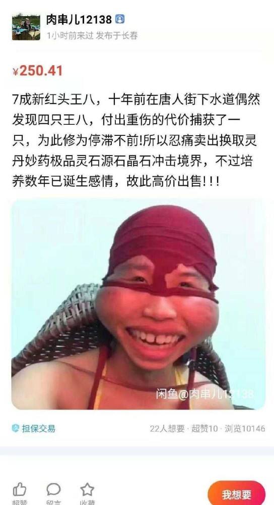 红头王八真人图片