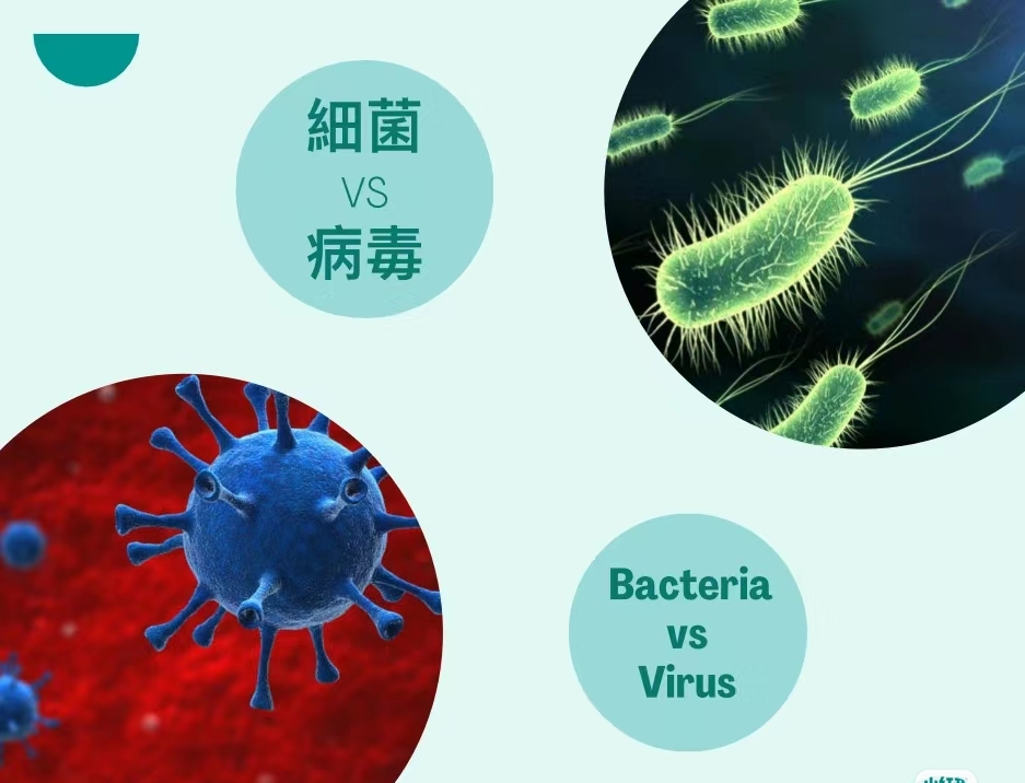 病毒vs细菌:微生物界的"双胞胎"