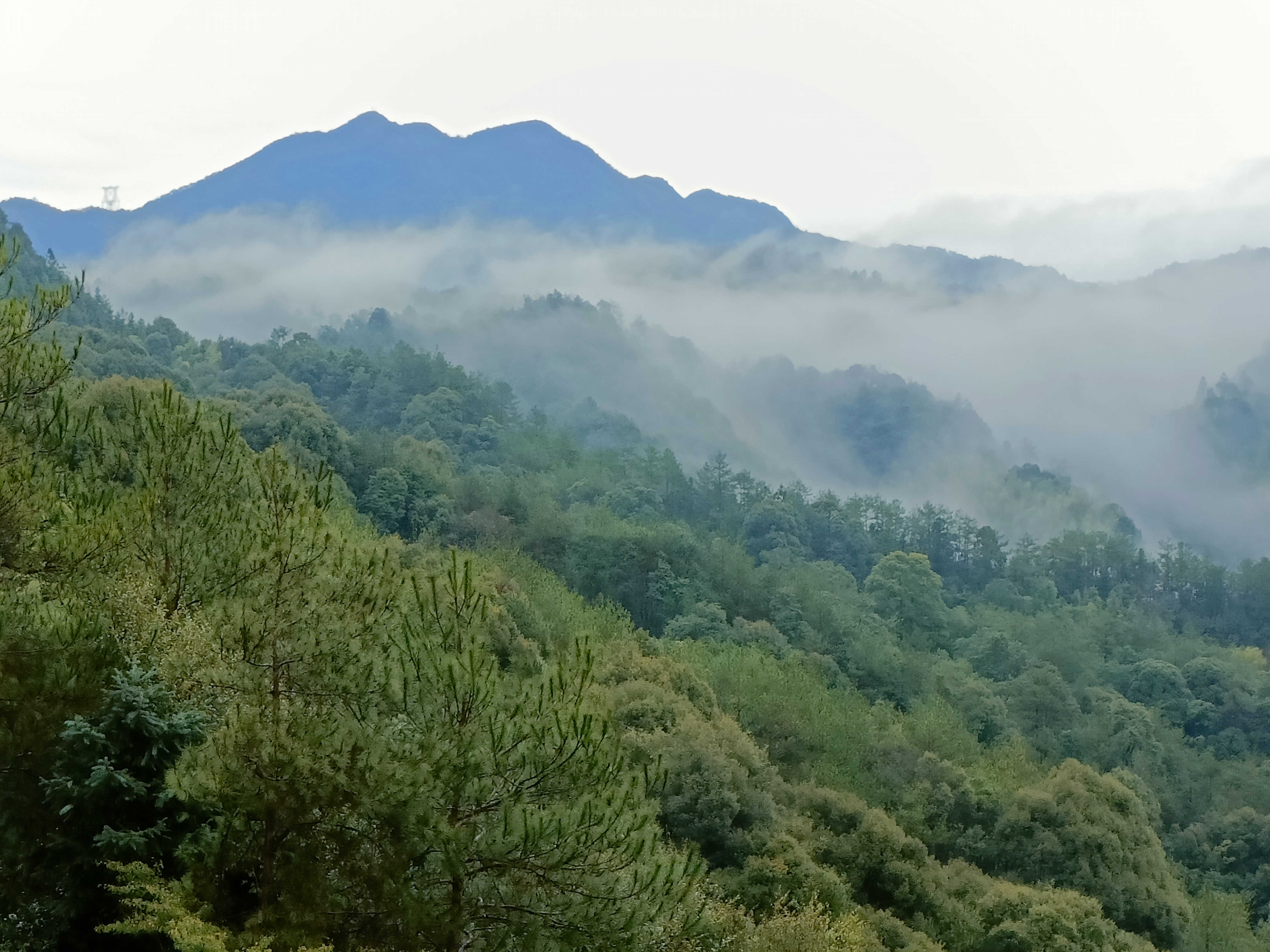 云雾缭绕,凡间仙境,人在山中,云在脚下.福建连城
