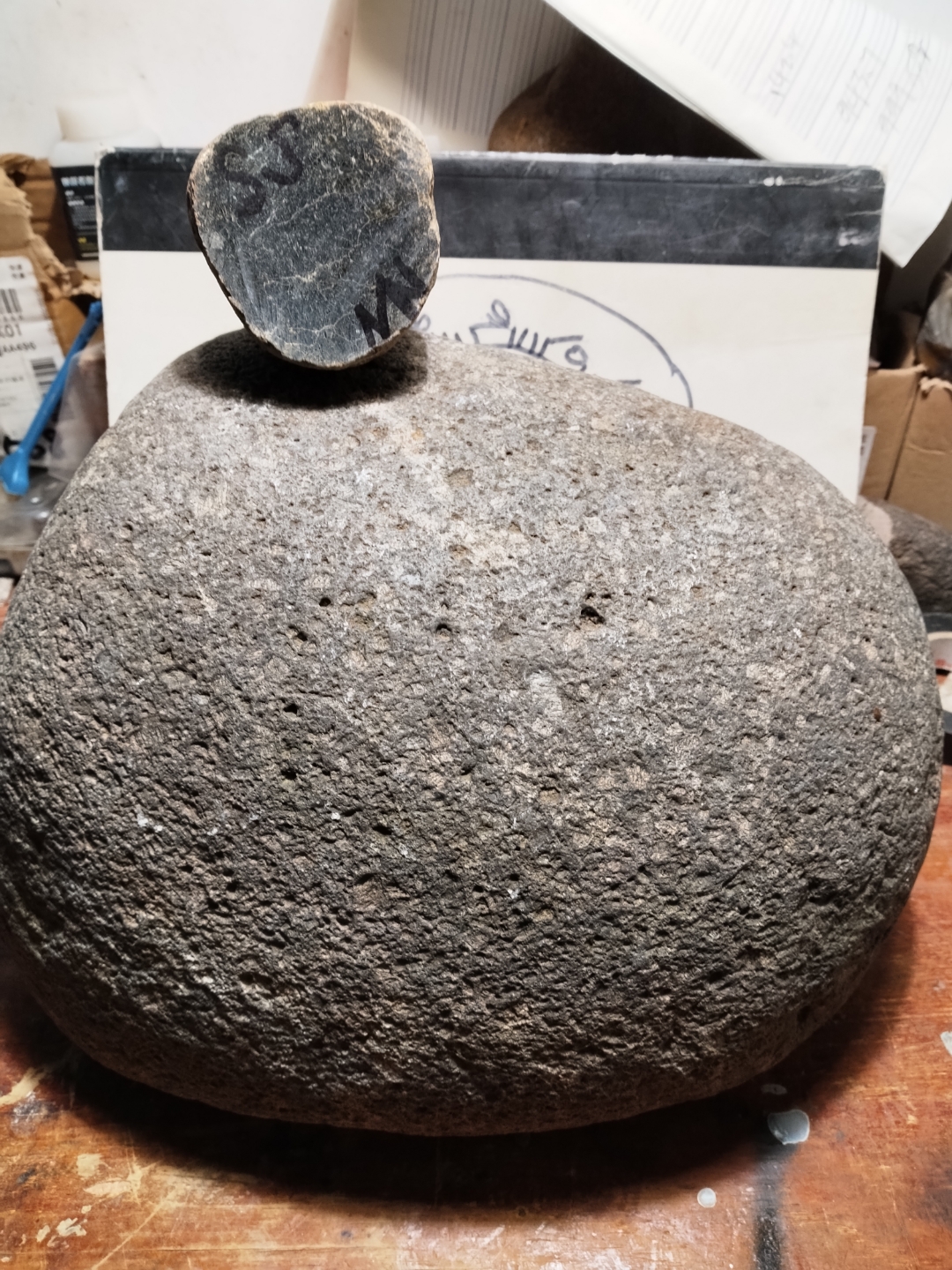 火星二辉橄榄陨石