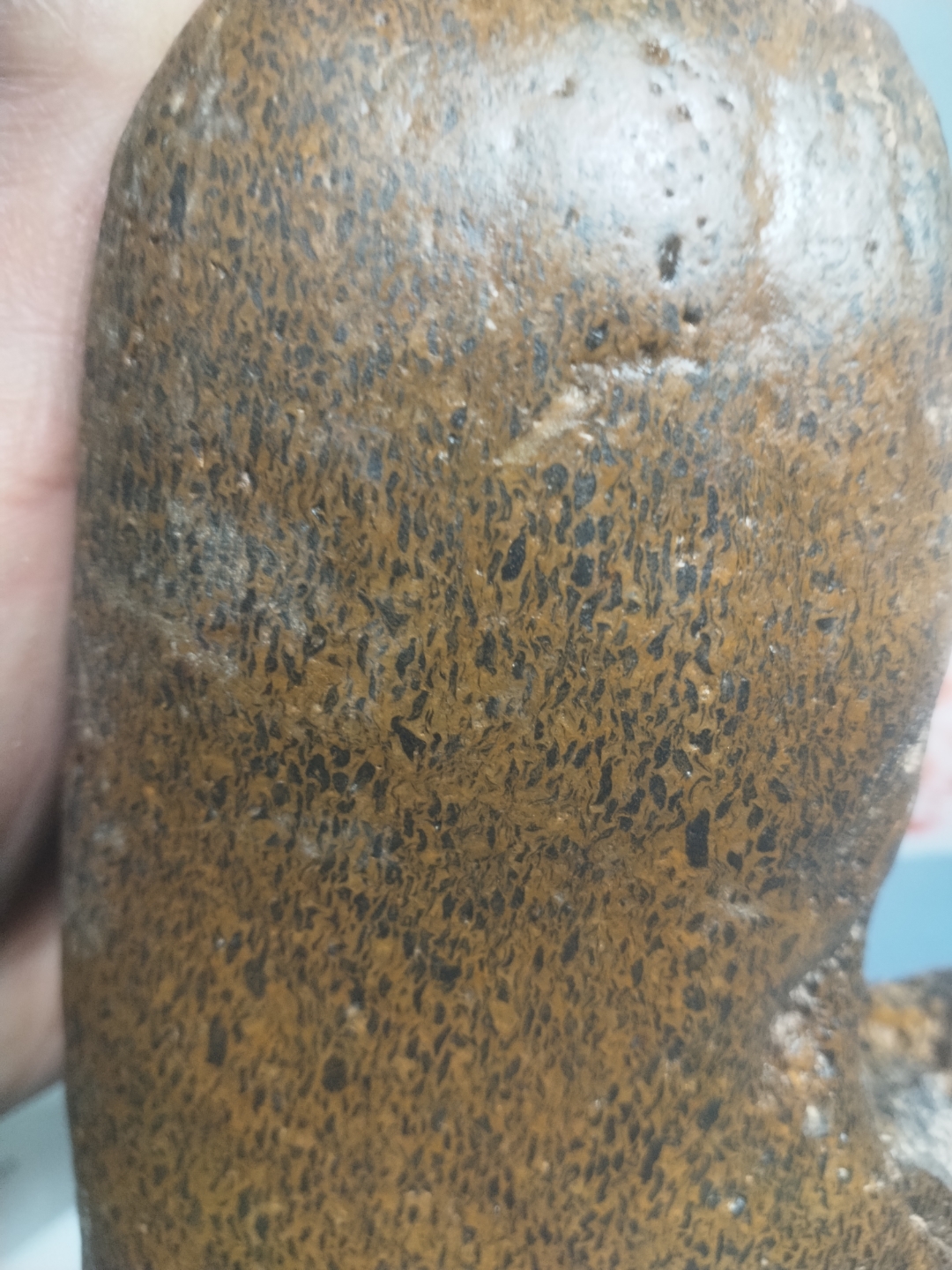 定向火星陨石,橄榄石斑晶内外一致定向,无磁性