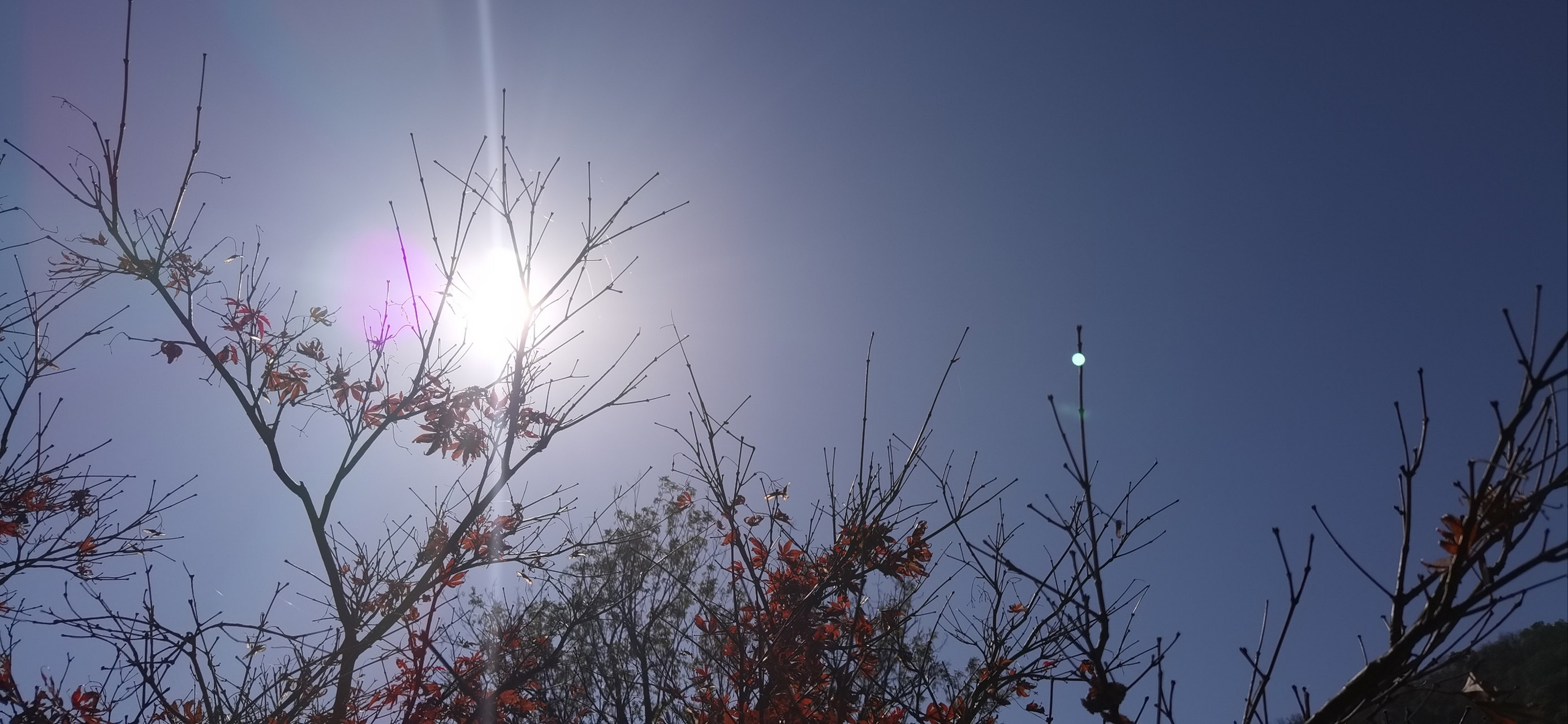 阳光透过树叶的缝隙洒下,投射出斑驳的光影.