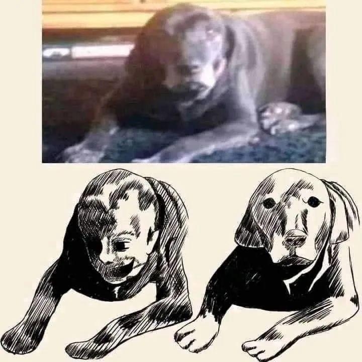 就在前几天,我随手翻相册,差点没把我魂吓飞!