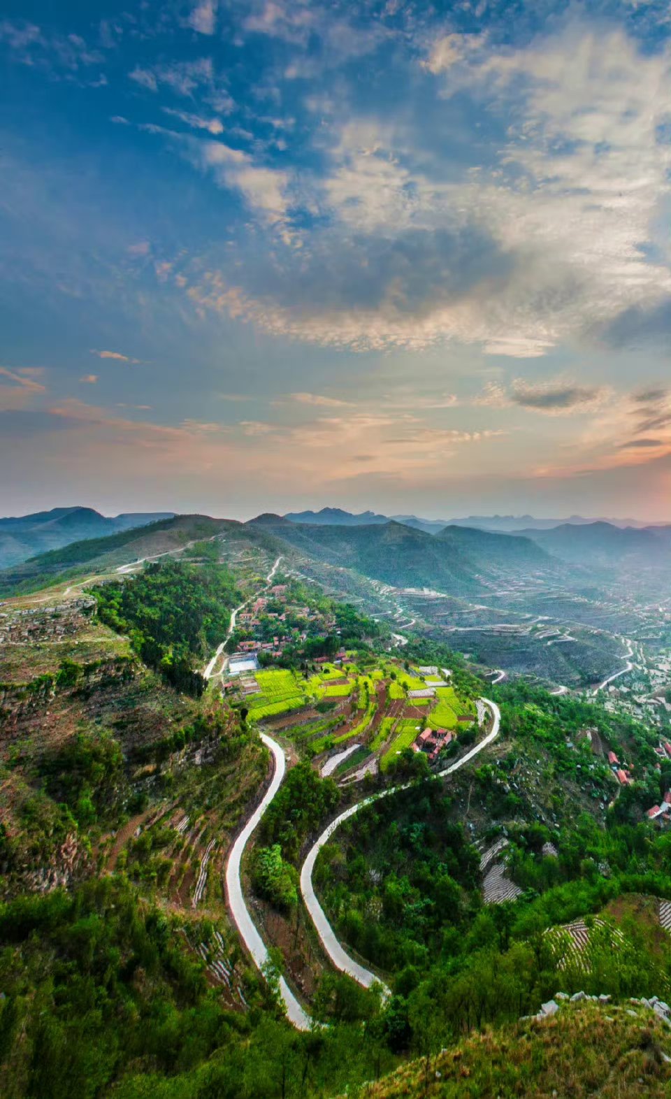 这个季节的安丘天路,万物复苏,众树吐绿,梯田中小麦,谷子正在生长.
