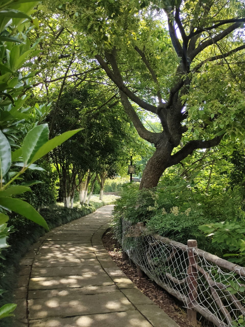 风景秀丽的公园