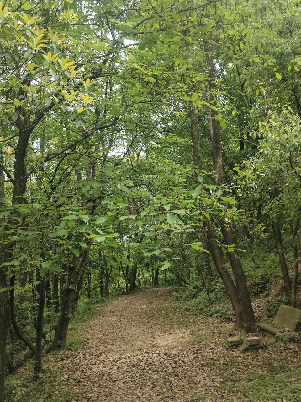 美丽的慈溪峙山公园