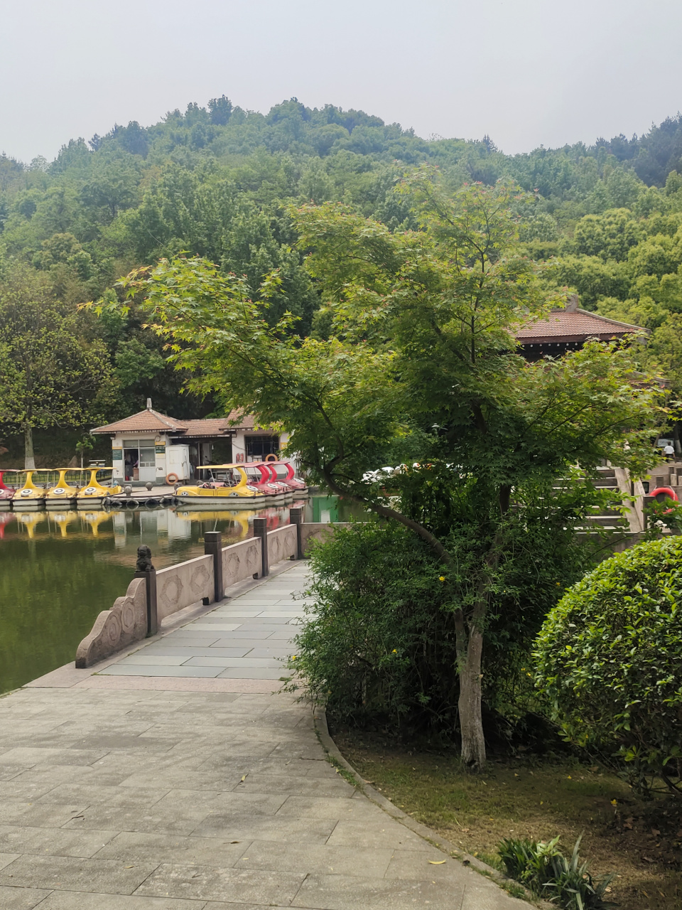 美丽的慈溪峙山公园