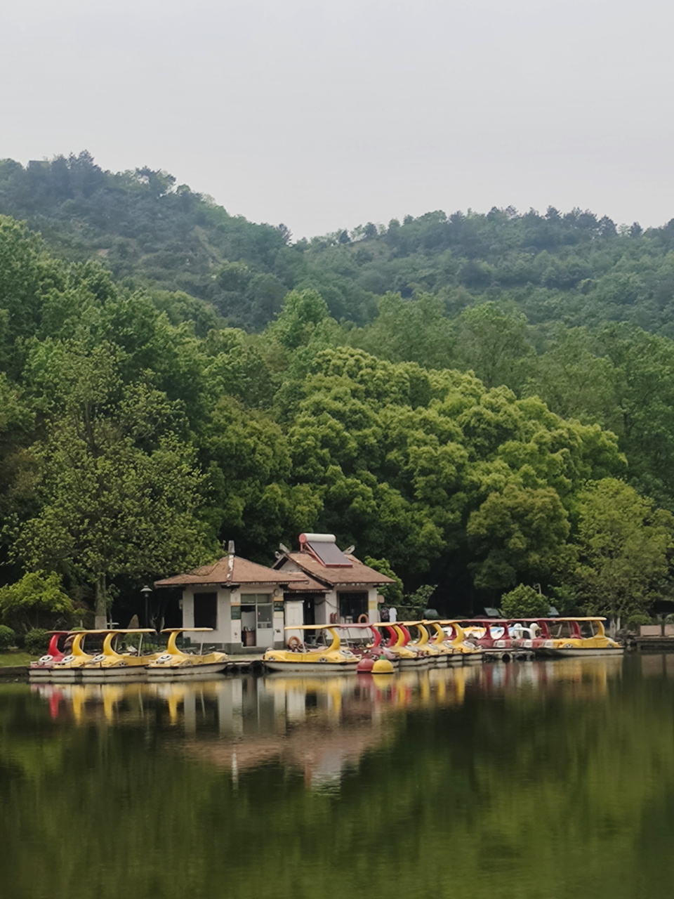 美丽的慈溪峙山公园