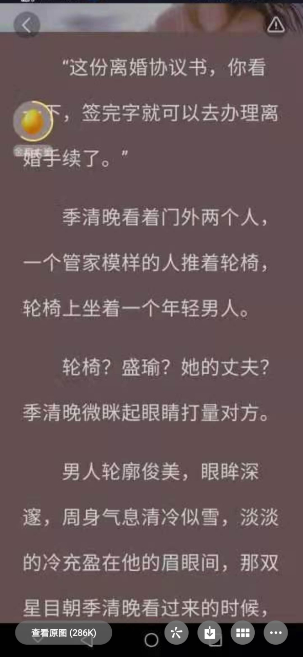 抖音《季清晚盛瑜》又名《季清晚盛瑜第一章离婚协议》全文完结阅读