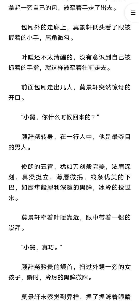 抖音爆推荐主角叶暖顾辞尧莫景轩完结小说 叶暖顾辞尧莫景轩《叶暖顾