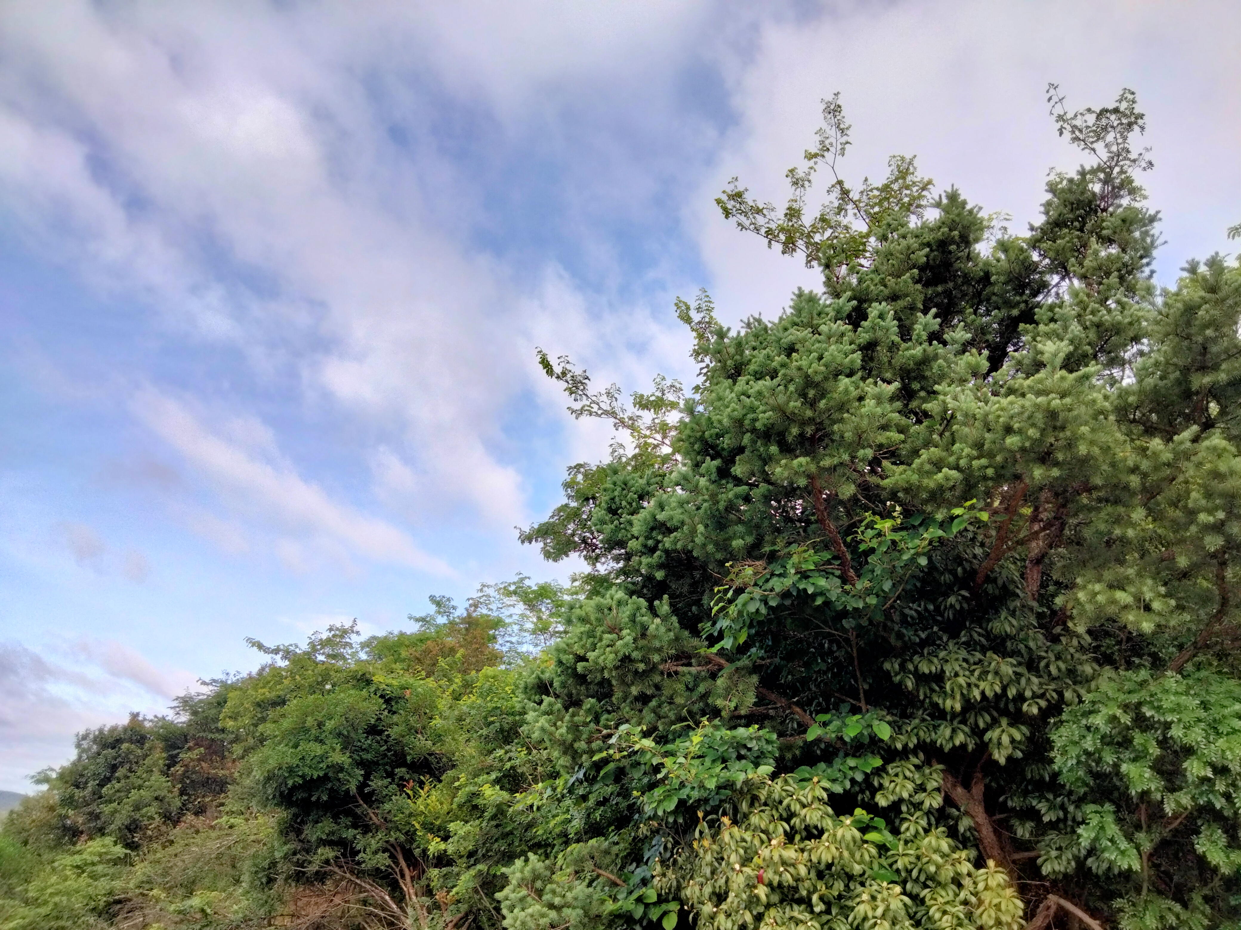 云南的天空真不需要滤镜,其他无所谓,就这风景心情愉悦