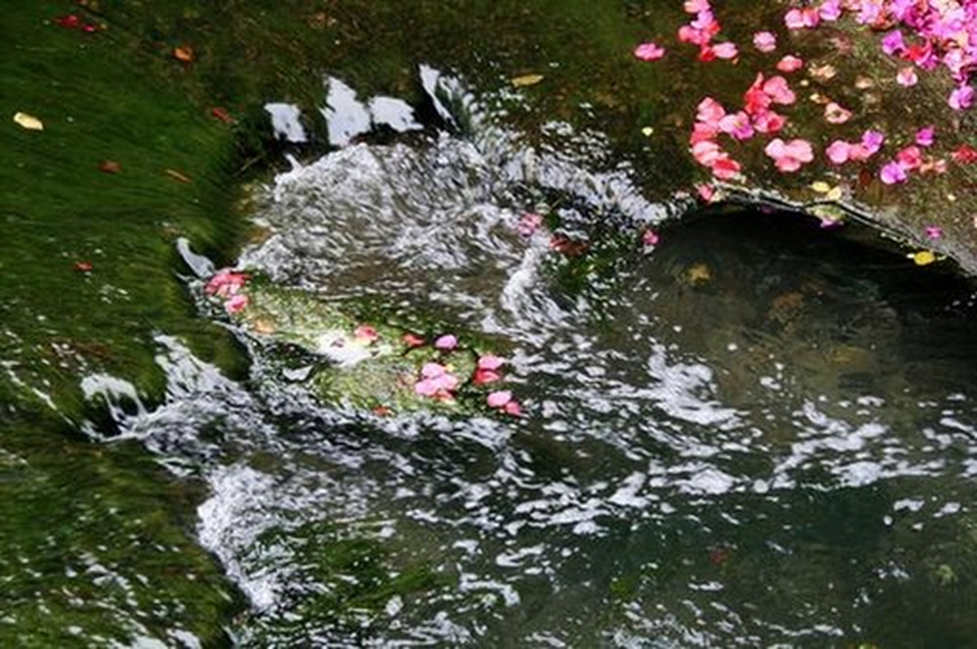 中国对联# #每日一联#  空树静山追月赏, 落花流水望风逃.