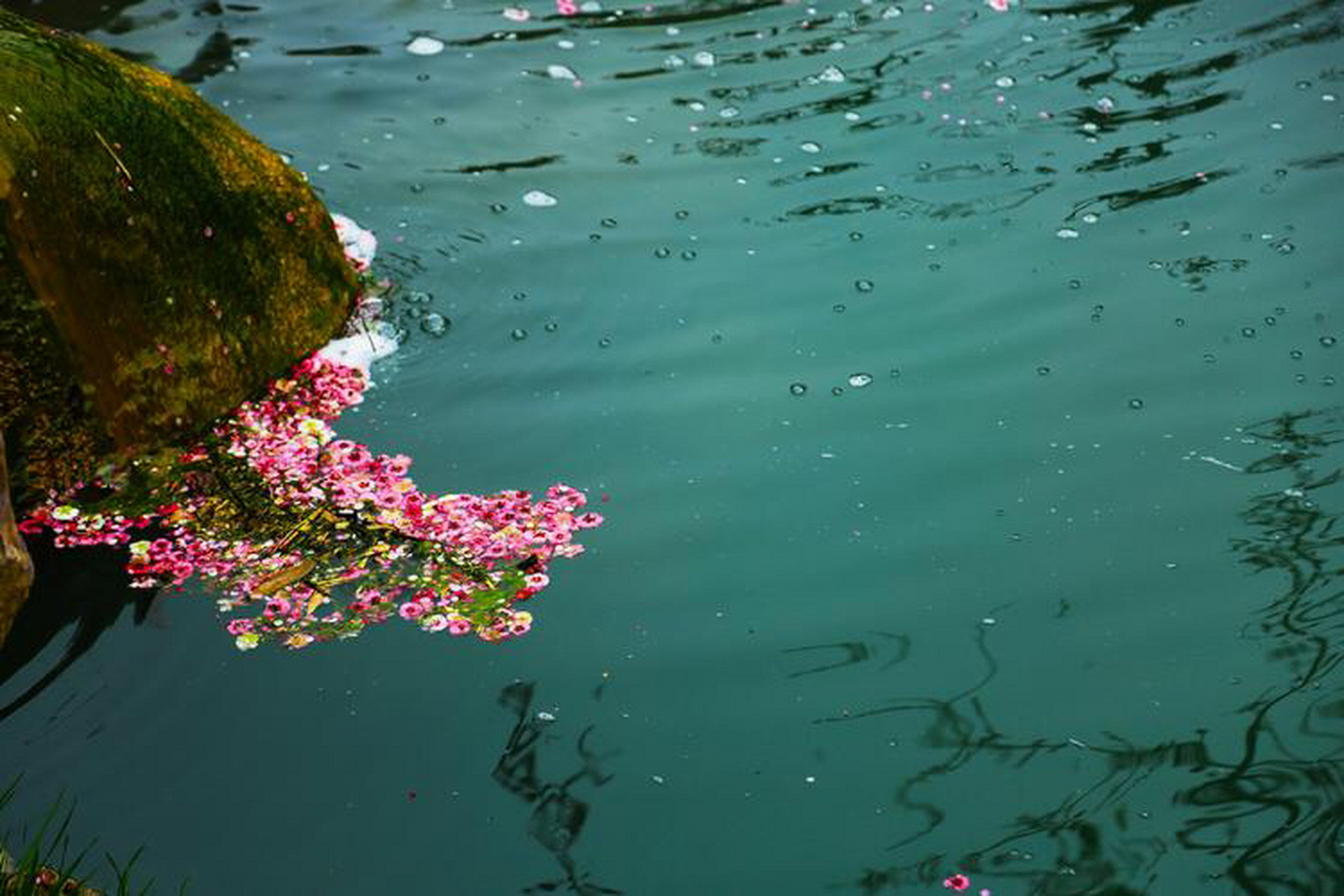 中国对联# #每日一联#  空树静山追月赏, 落花流水望风逃.