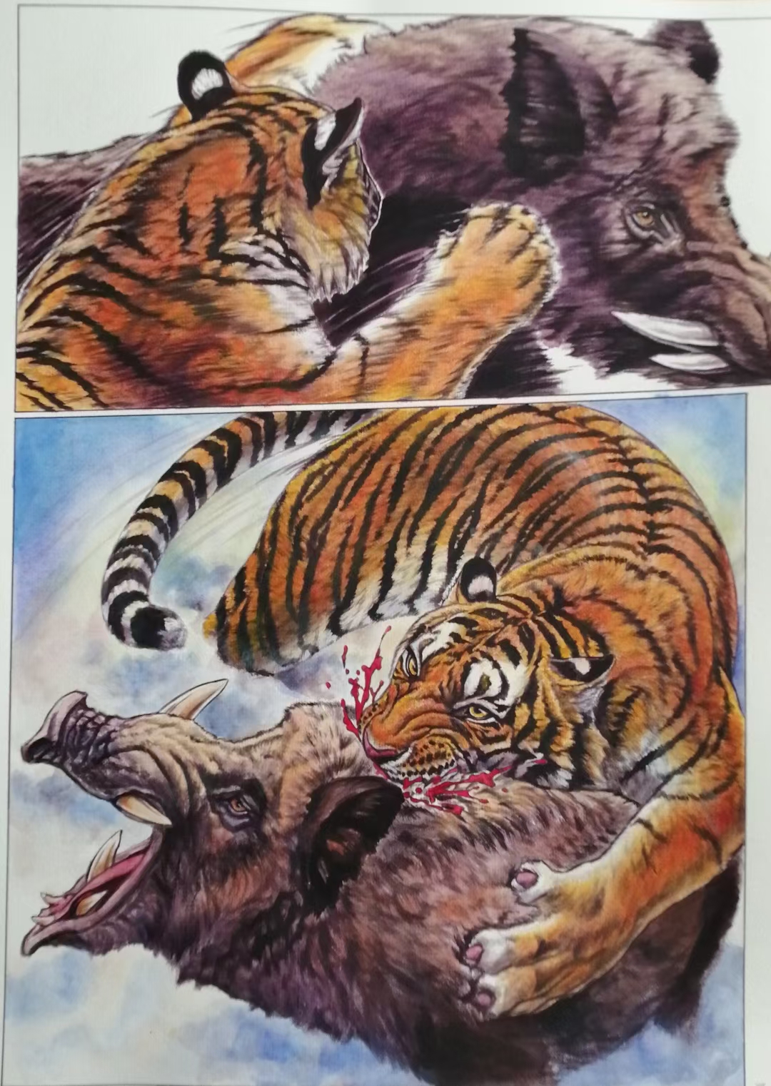 老虎# 首先,从生物学的角度来讲:老虎不仅是最大