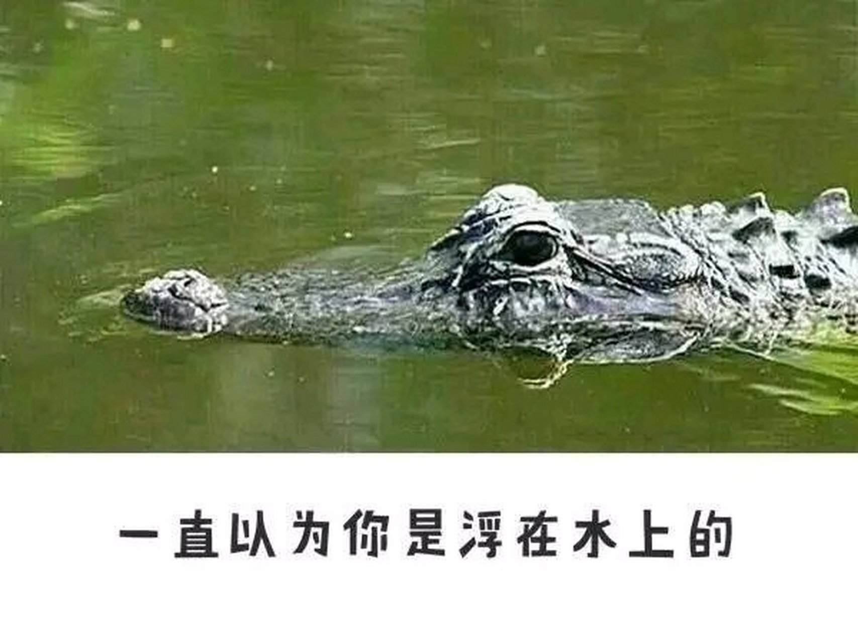 我要我以为,不要你以为