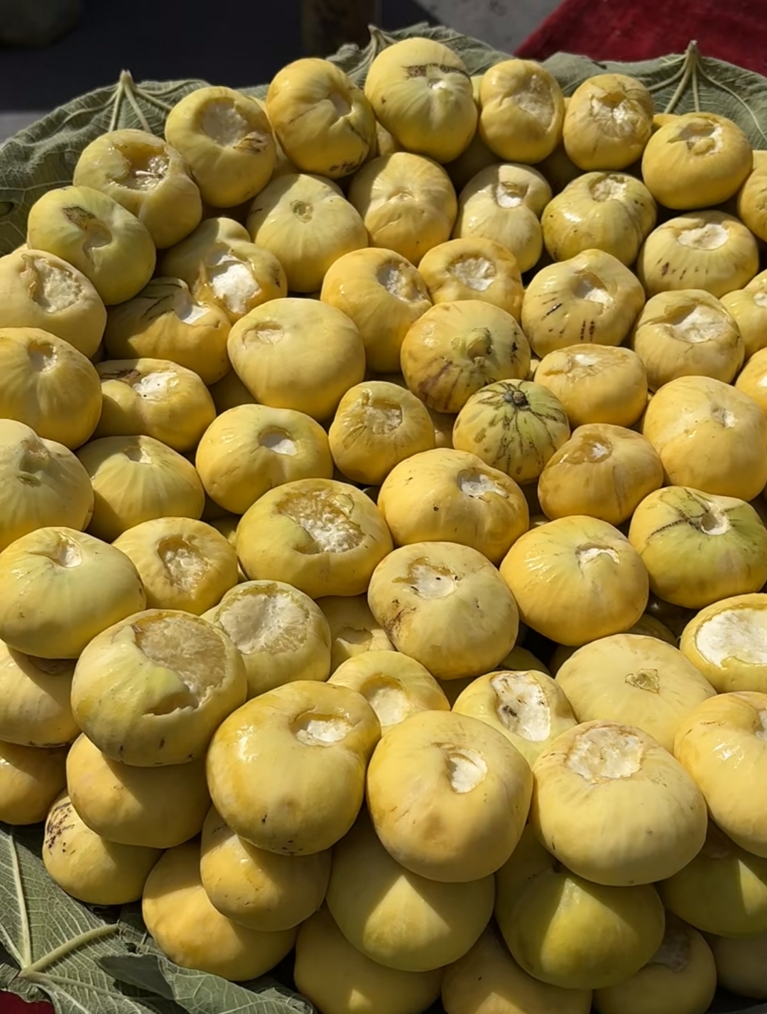 无花果喀什无花果图片喀什的无花果无花果有白色的皮吗无花果的图片