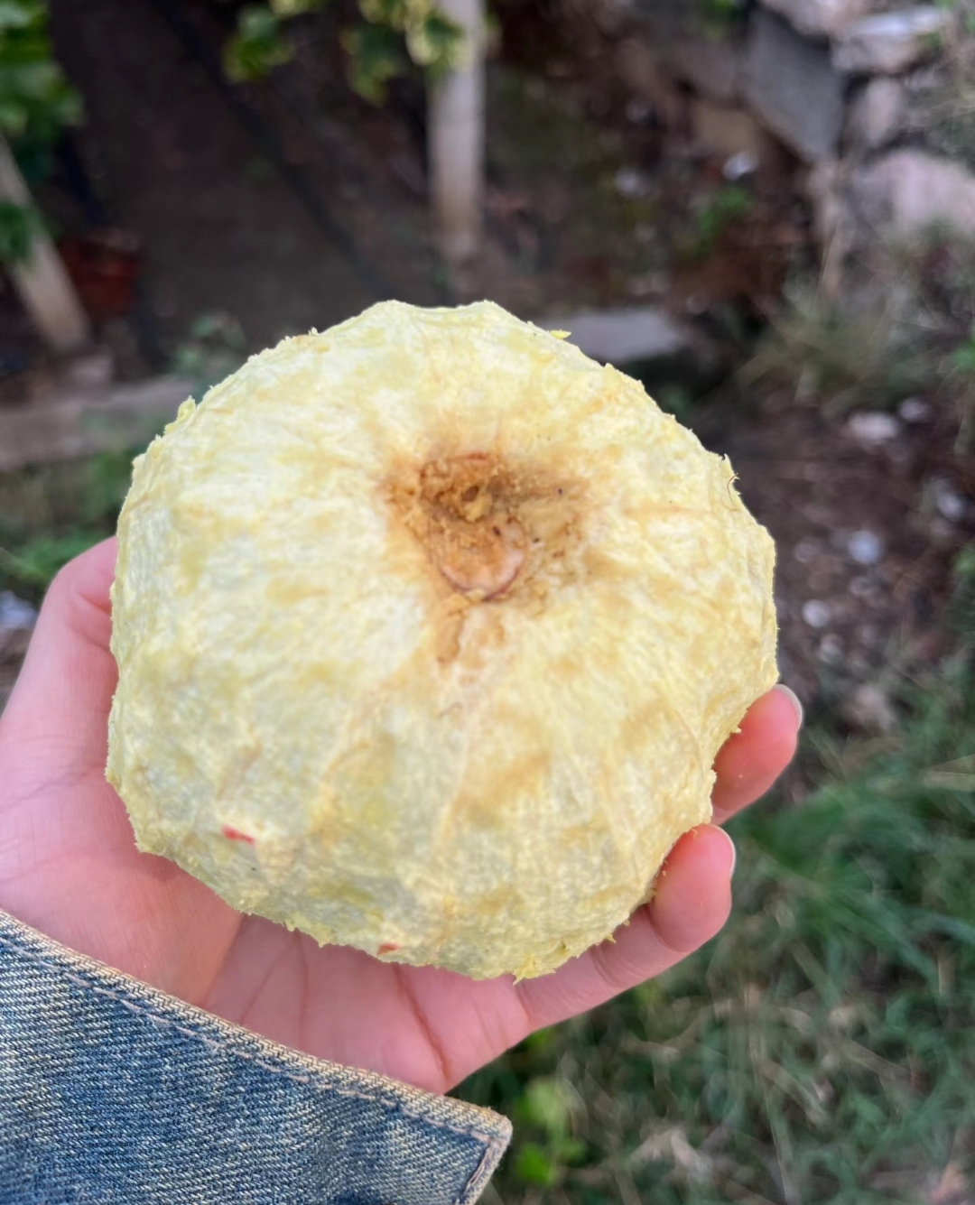 天变成褐色的水果扒皮丑橘剥皮的水果容易坏掉剥牛油果手黑苹果皮黑了